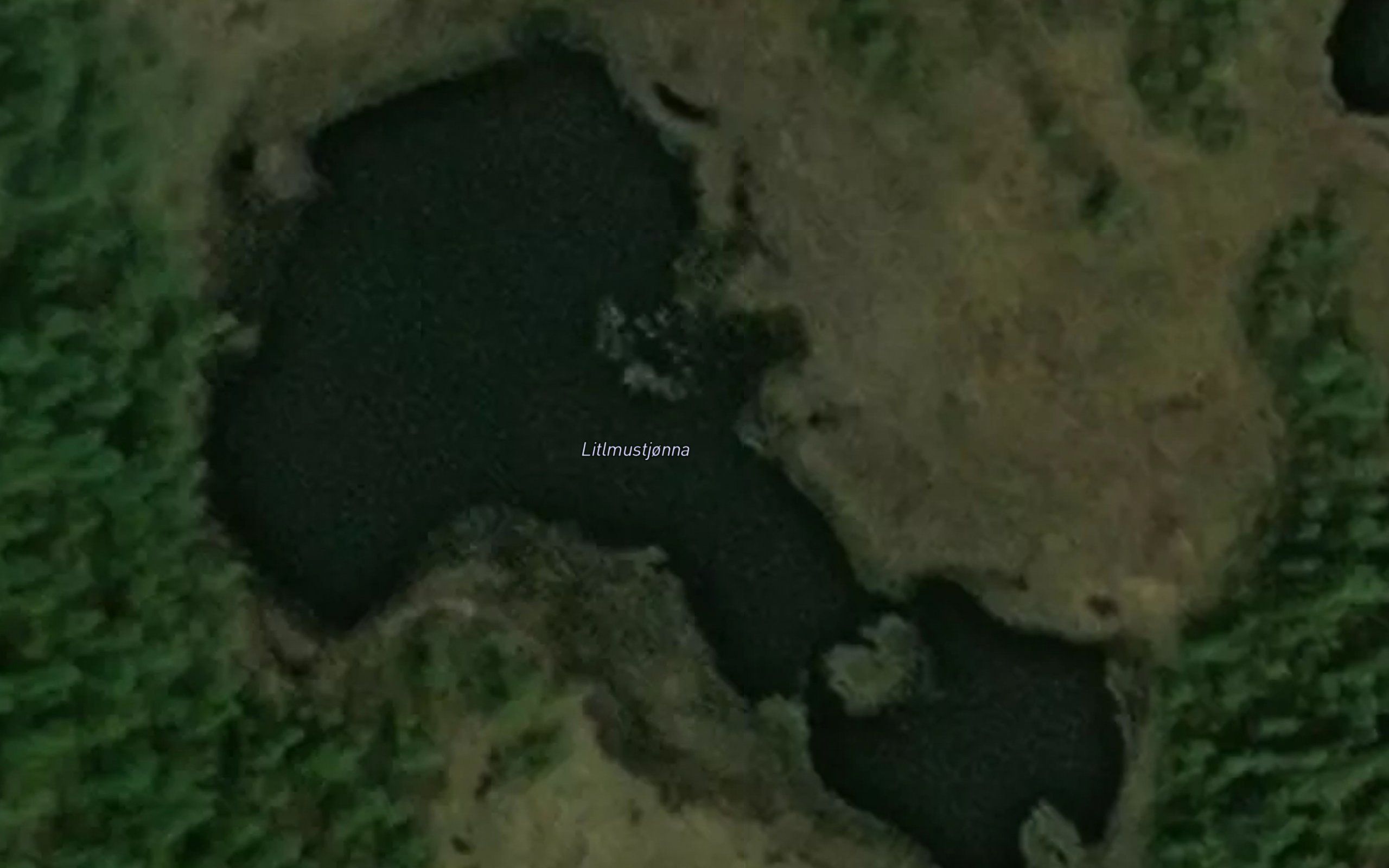 Litlemustjorna