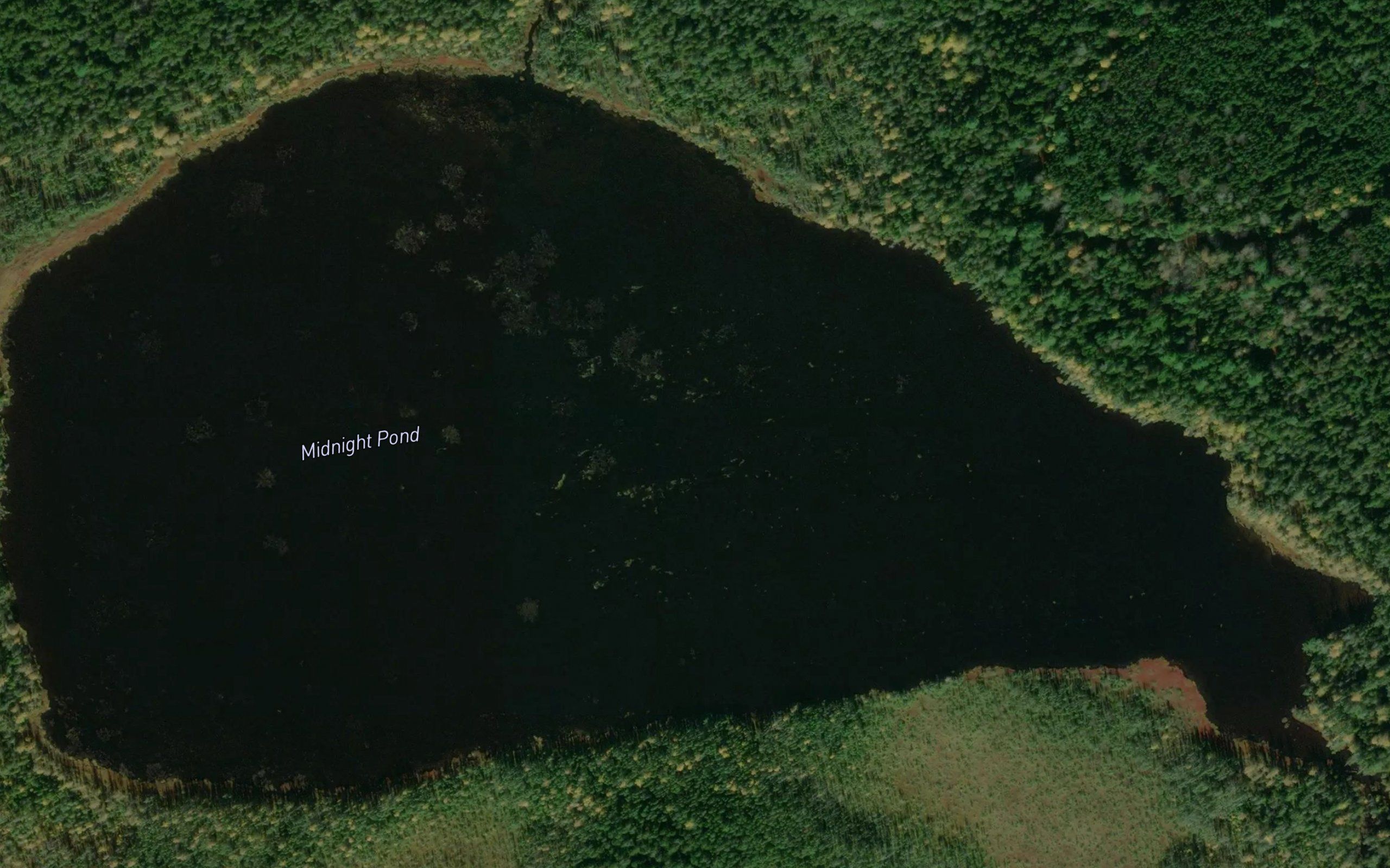 Midnight Pond