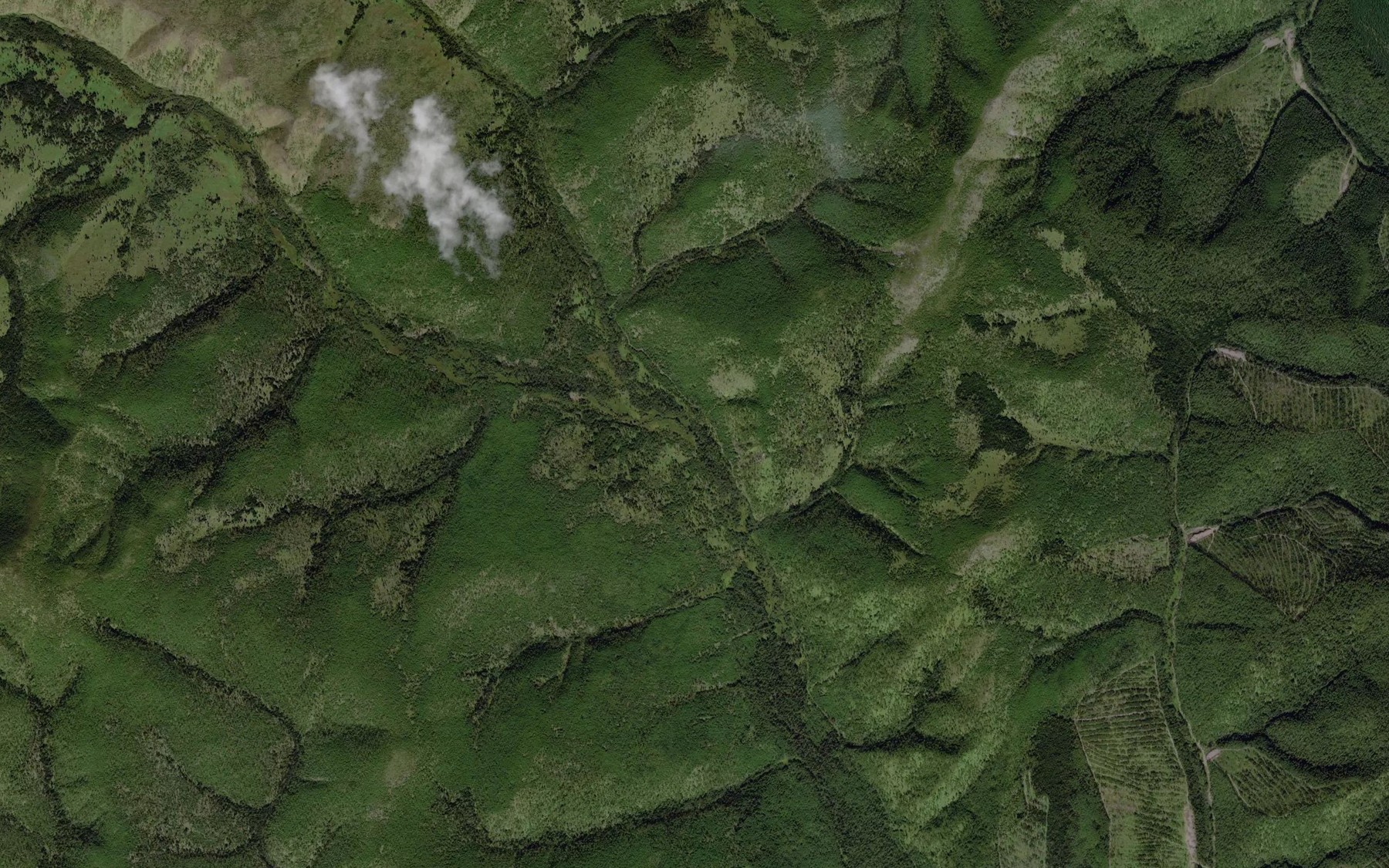 Satellite map of the Topograficheskiy