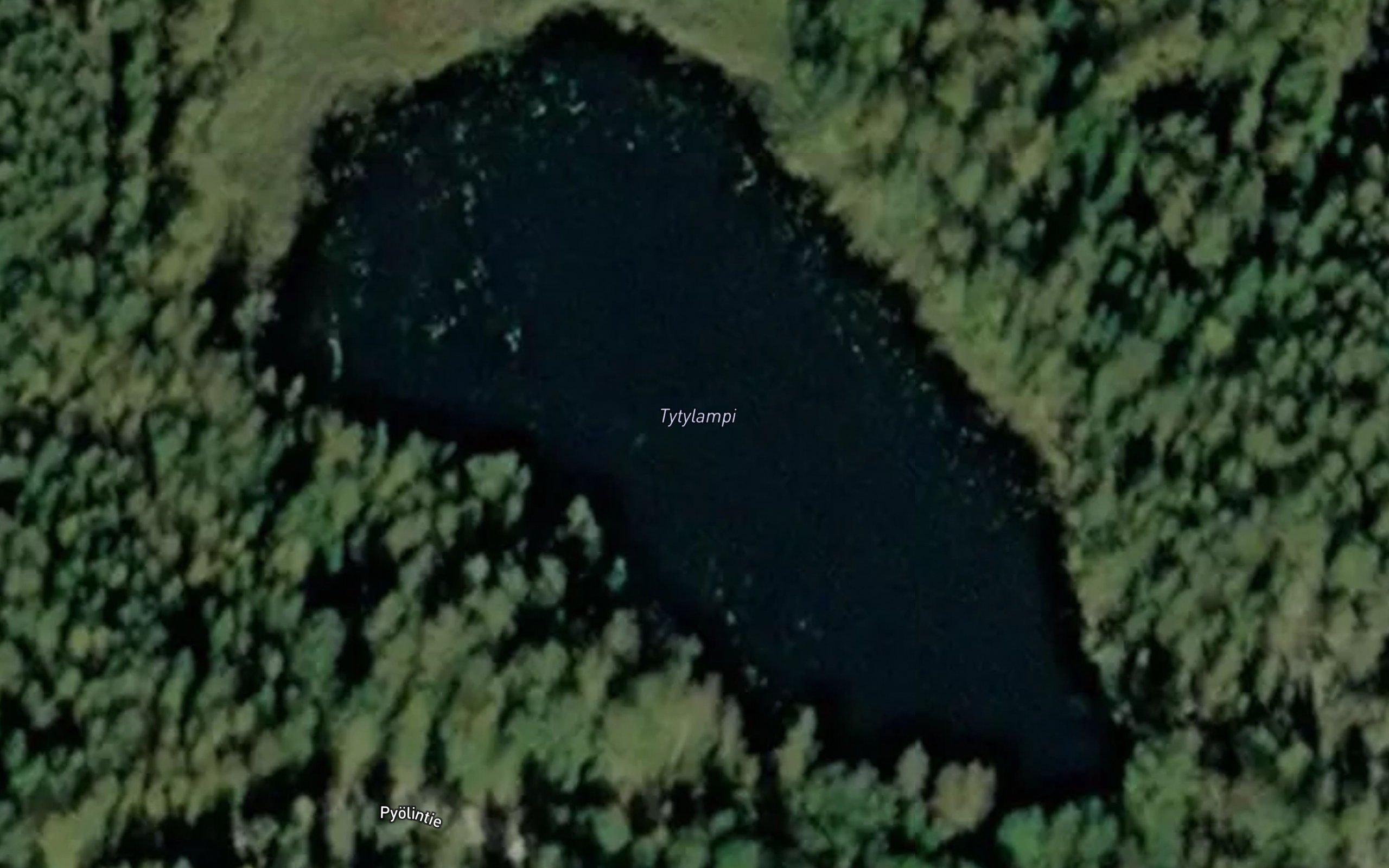 Tytylampi