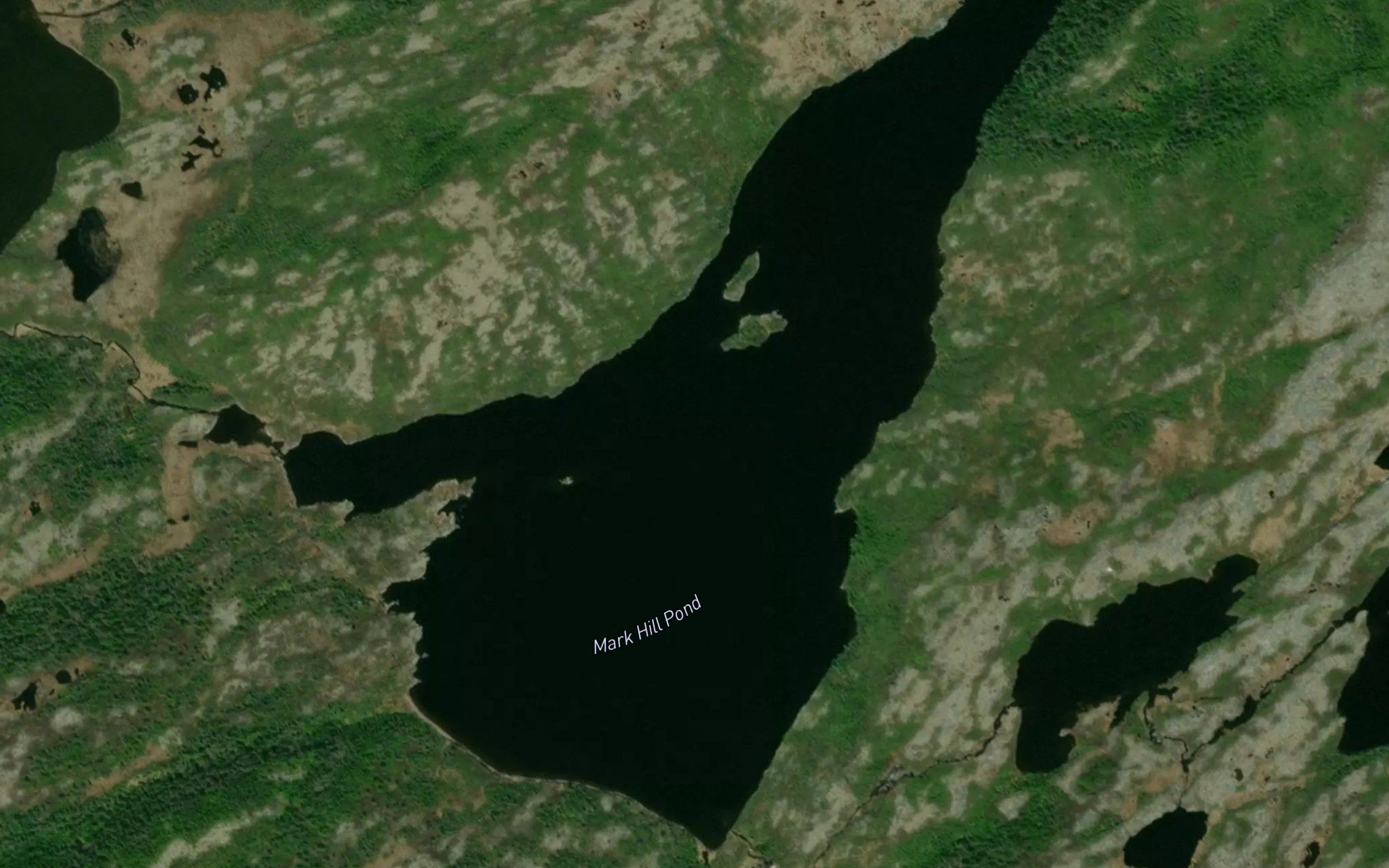 Mark Hill Pond