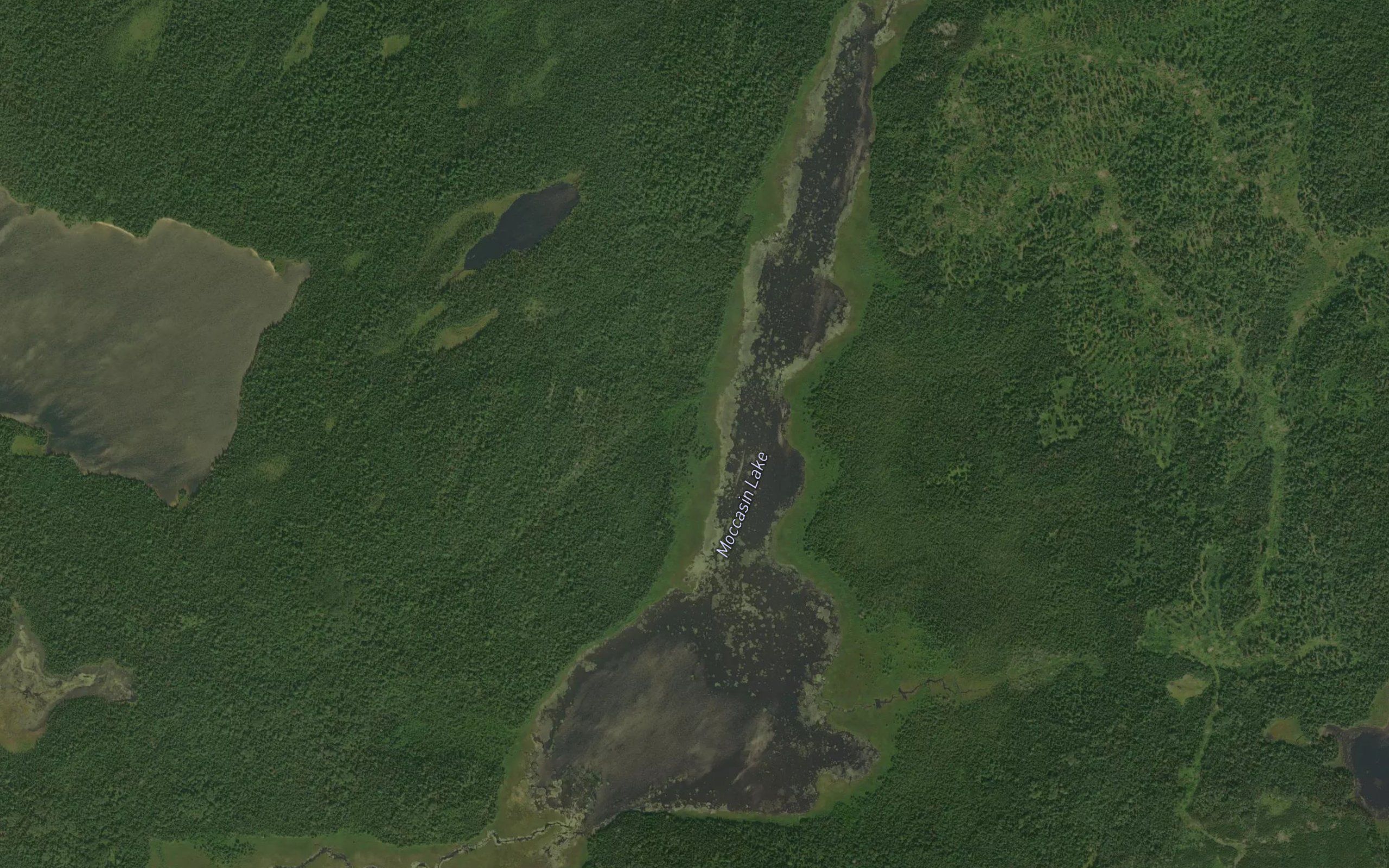 Moccasin Lake