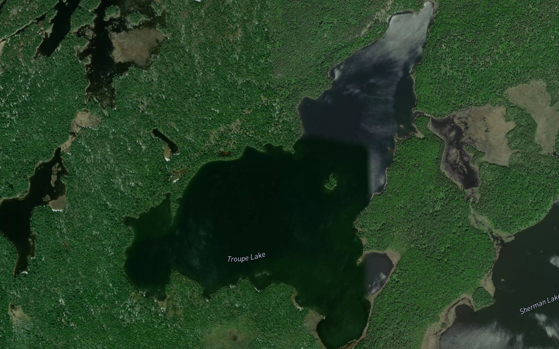 Satellite map of the Troupe Lake
