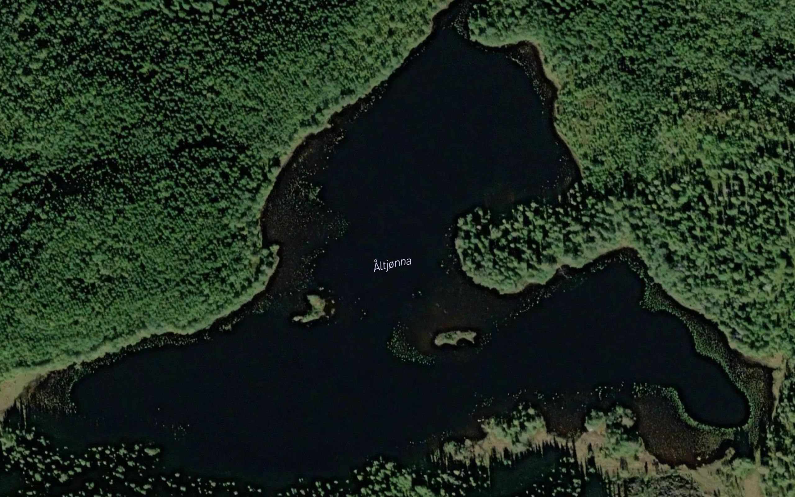 Altjorna