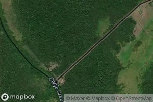 Black Bush Main Canal