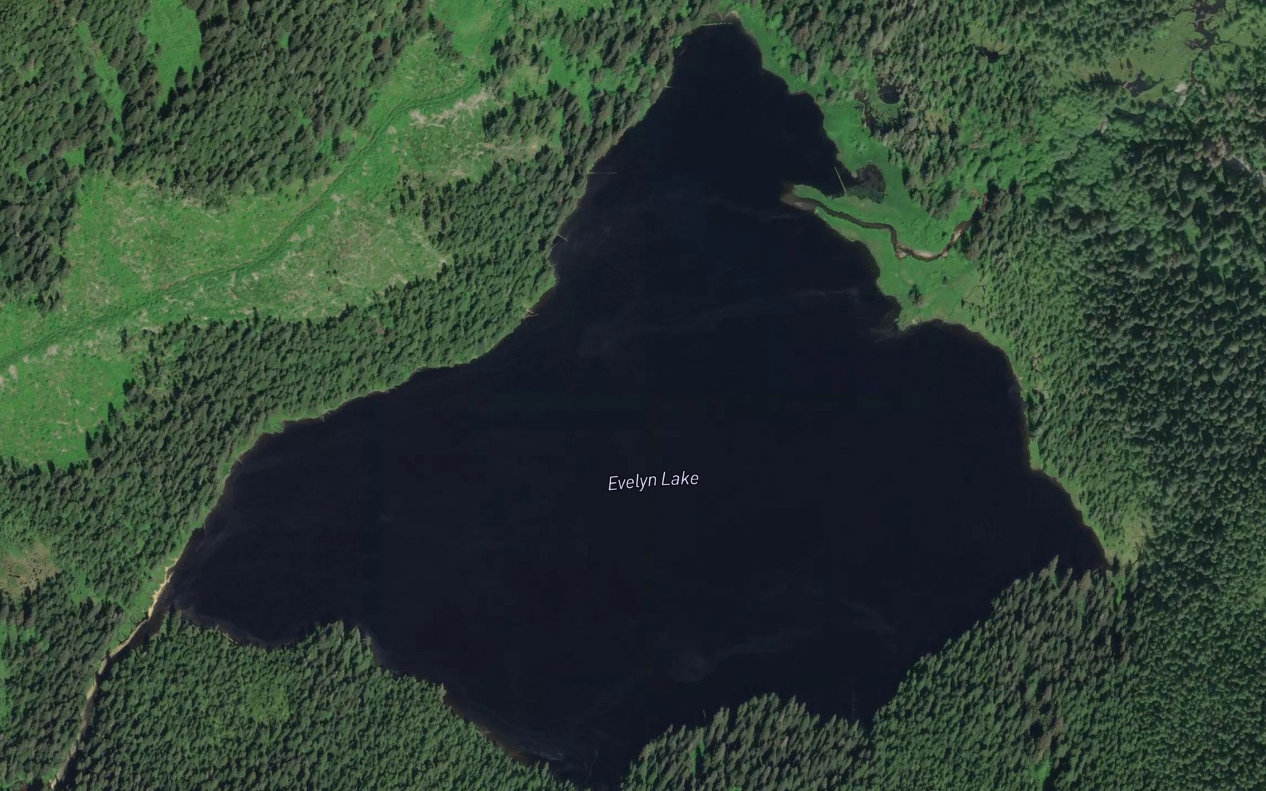 Satellite map of the Evelyn Lake
