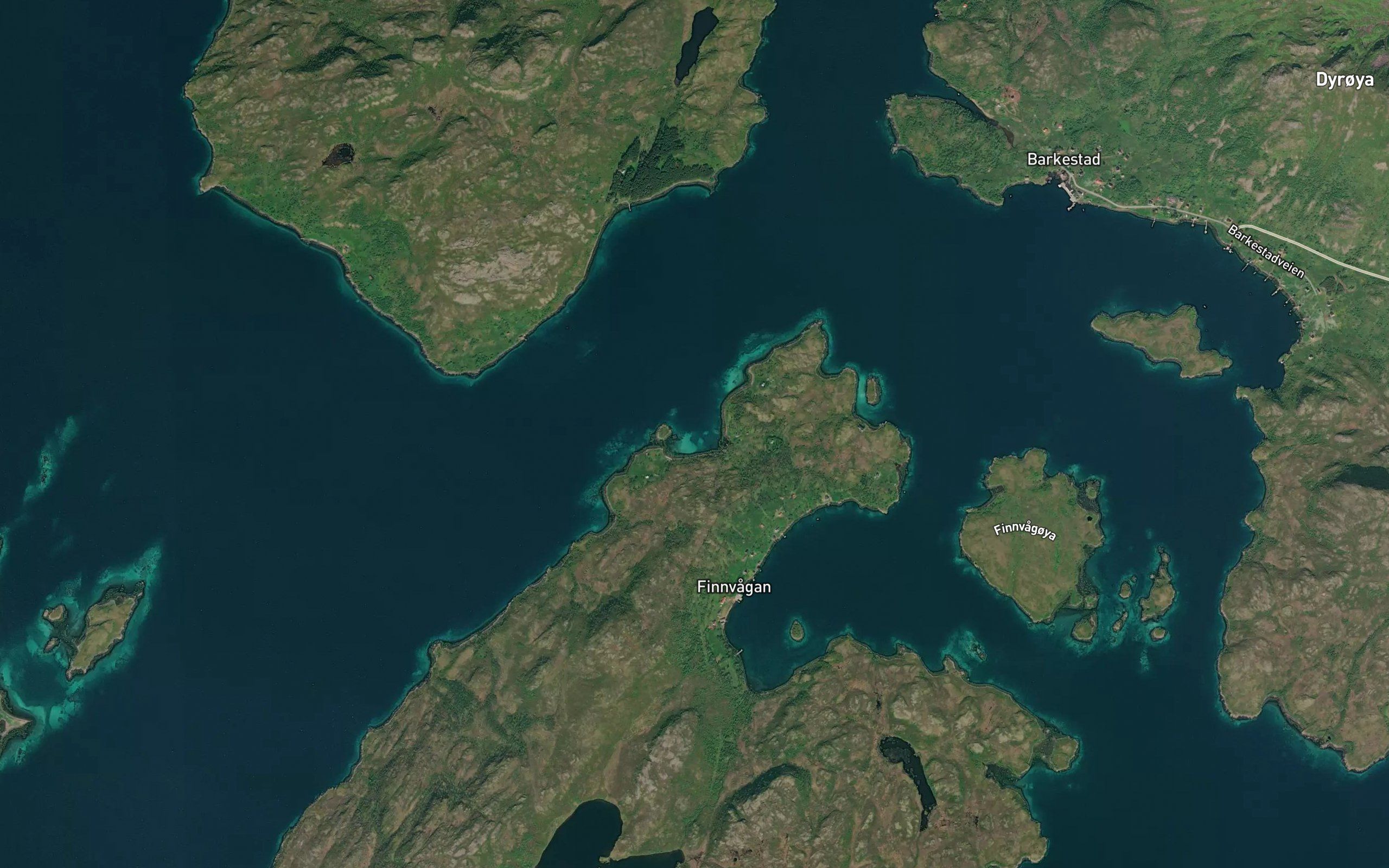 Kjerkvika