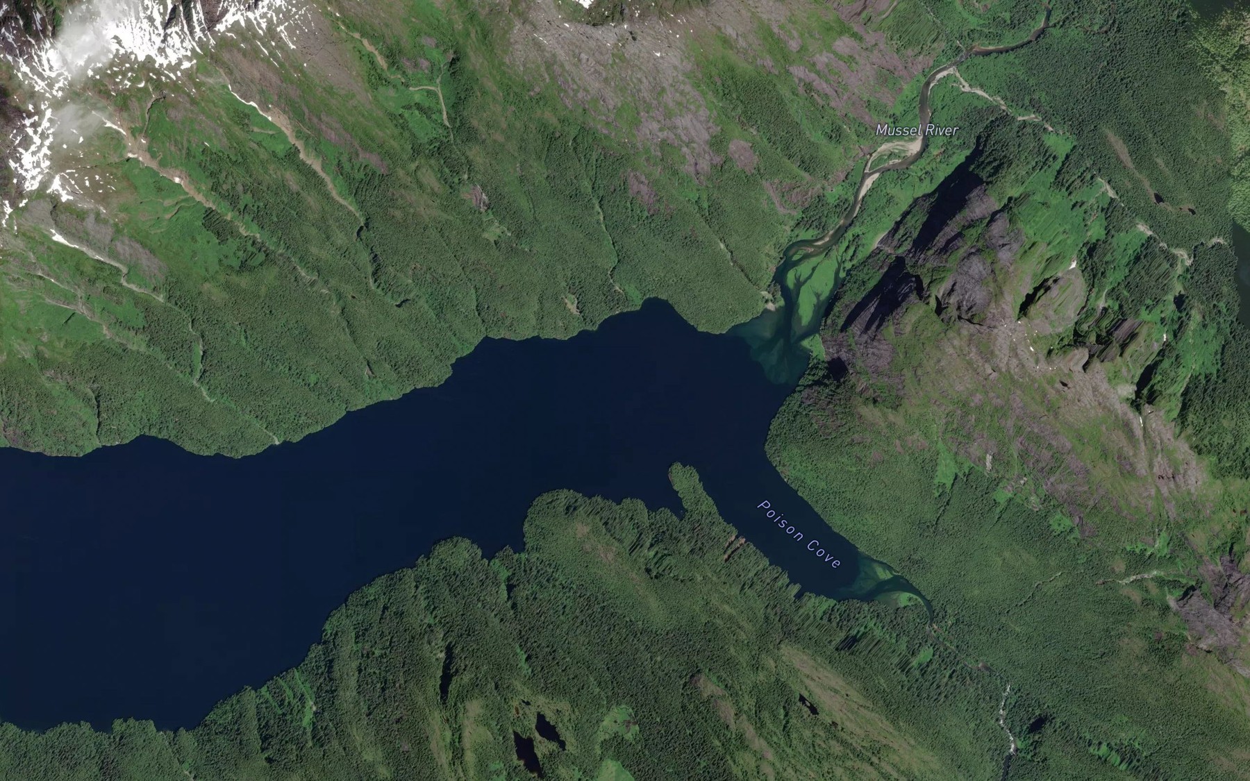 Satellite map of the Mussel Bay