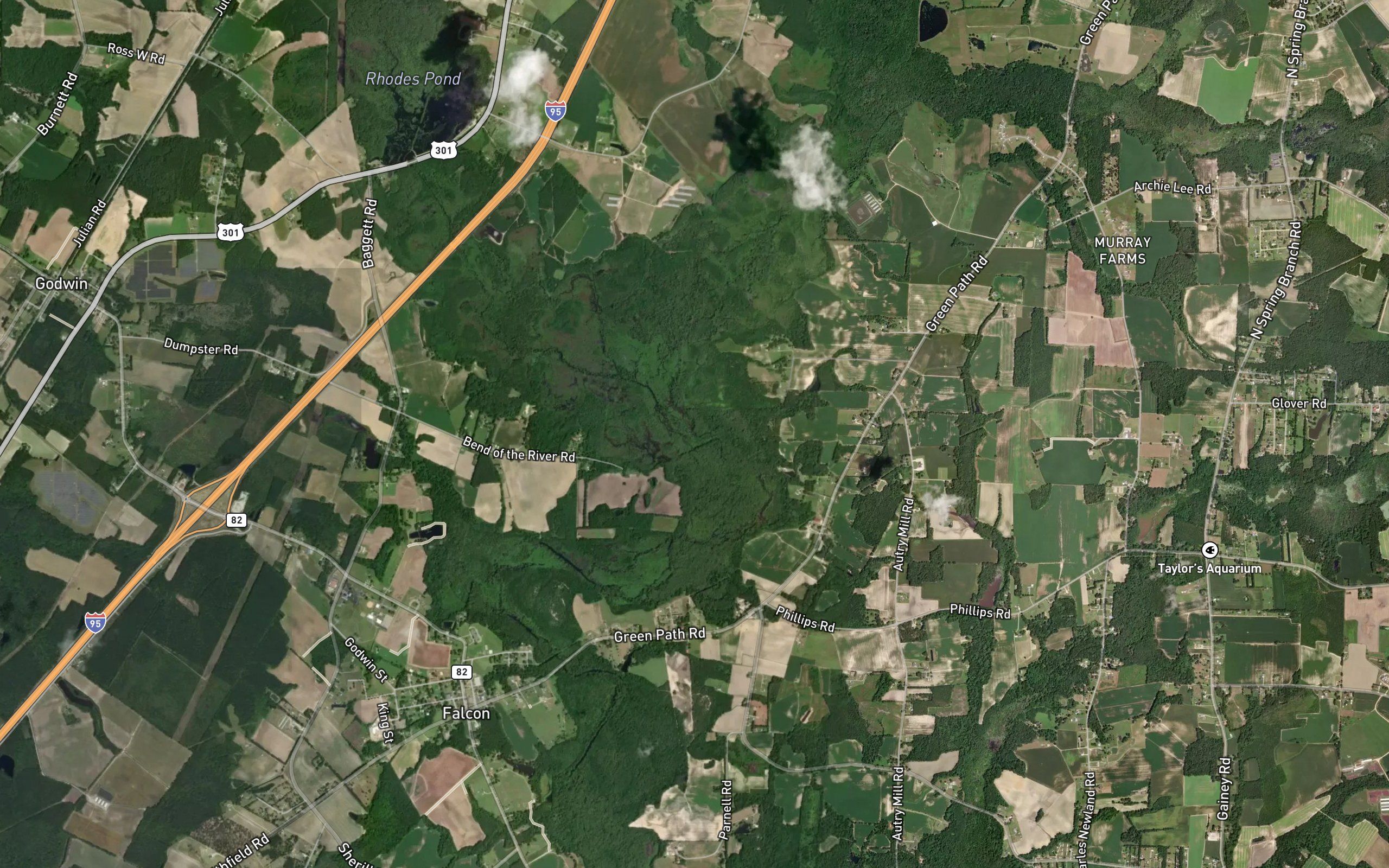 Mingo Swamp