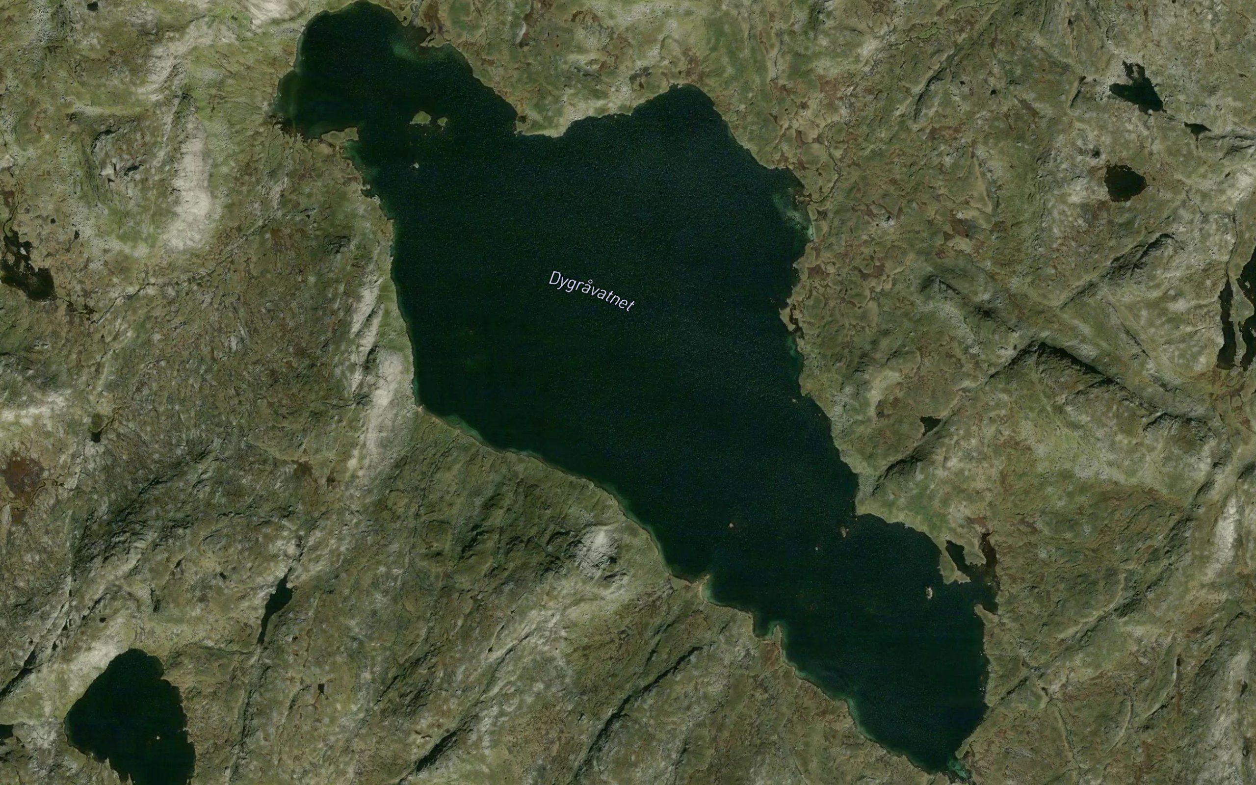 Dyrgrovvatnet
