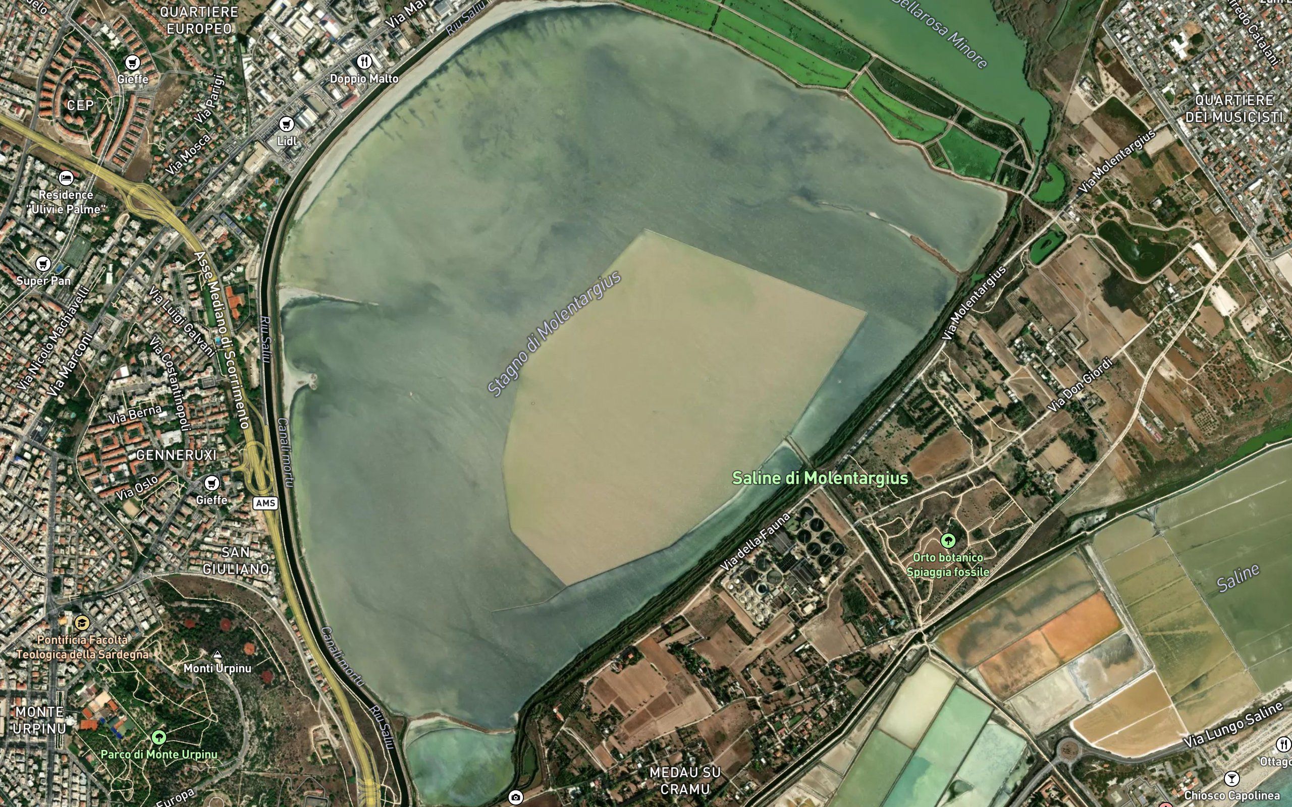 Stagno di Molentargius