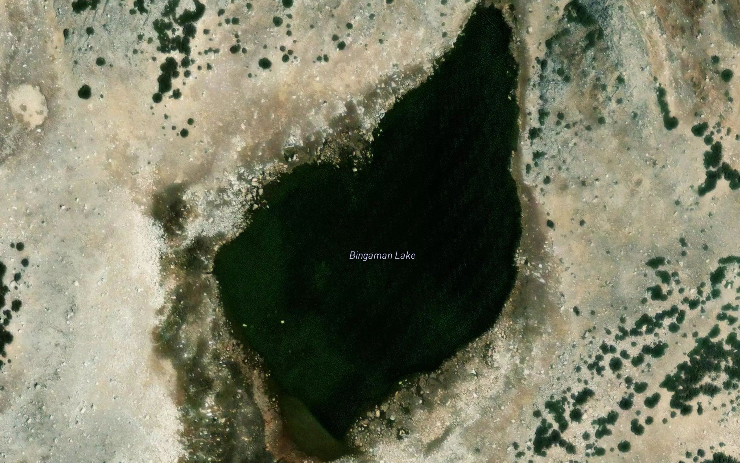 Bingaman Lake