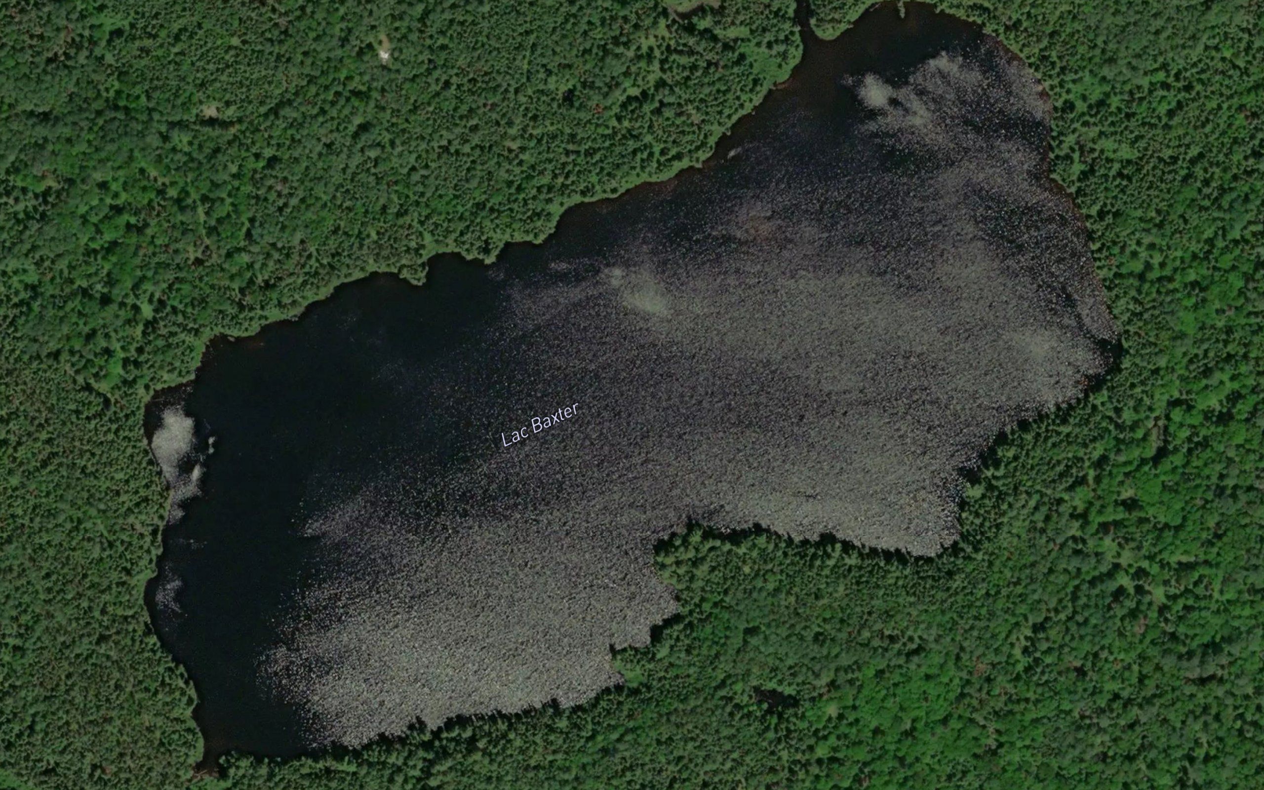 Lac Baxter