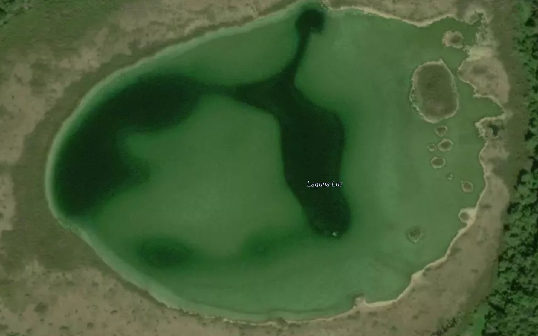 Satellite map of the Lago Luz