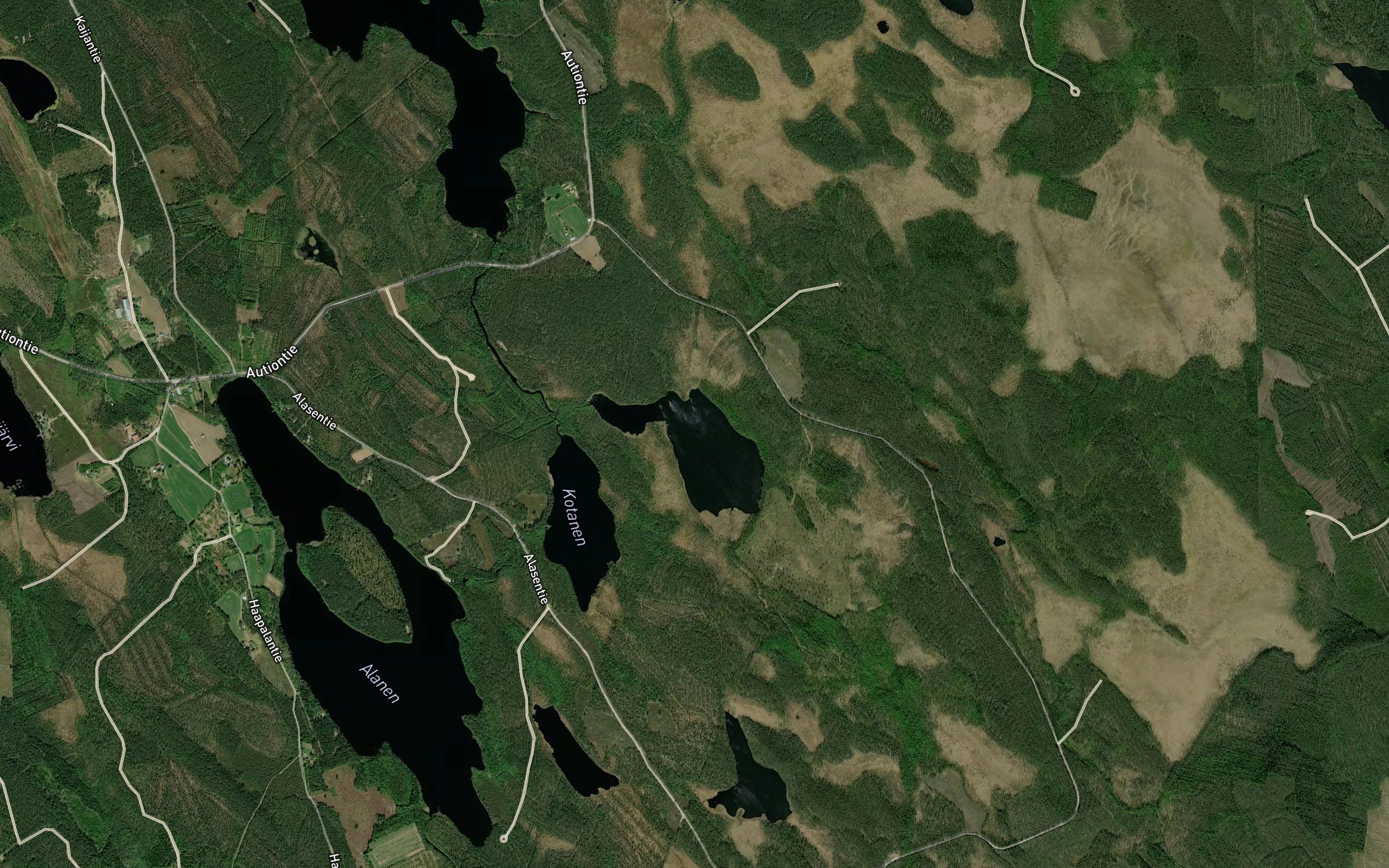 Kodantakanen