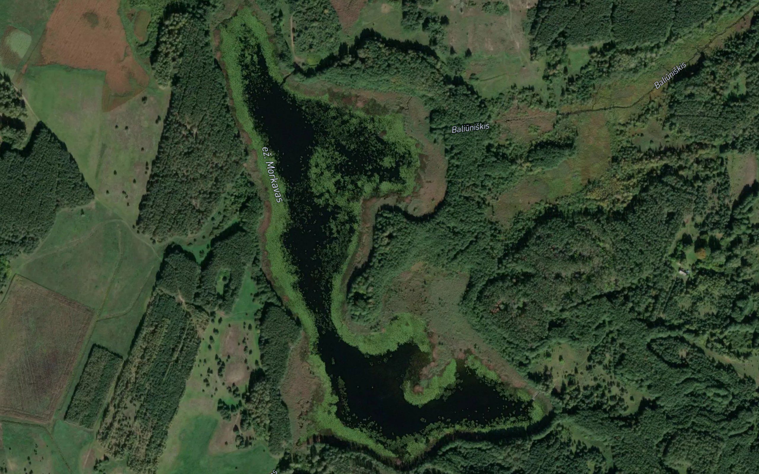 Ezeras Morkavas