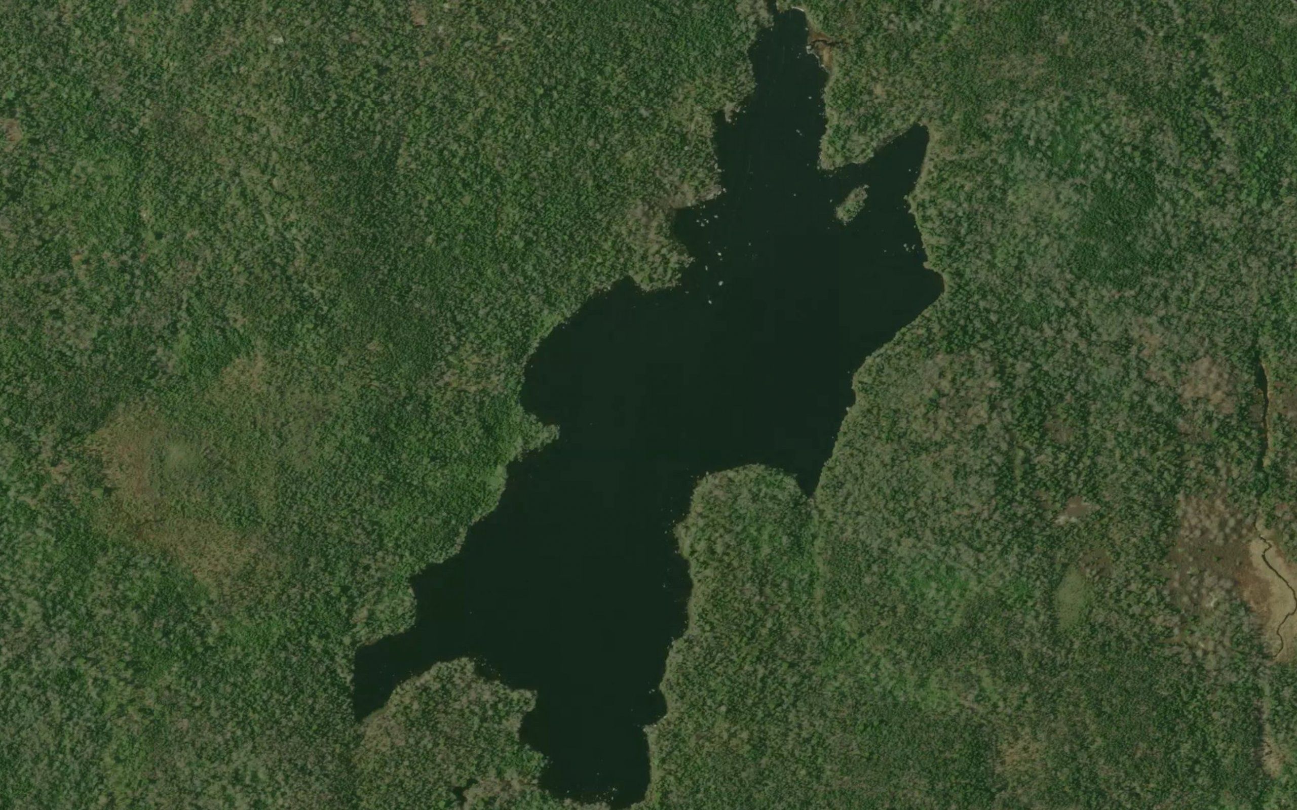 Blueberry Lake