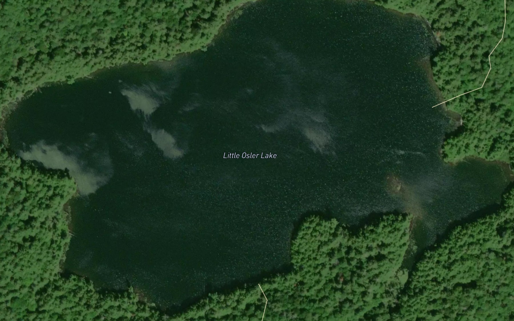 Satellite map of the Little Osler Lake