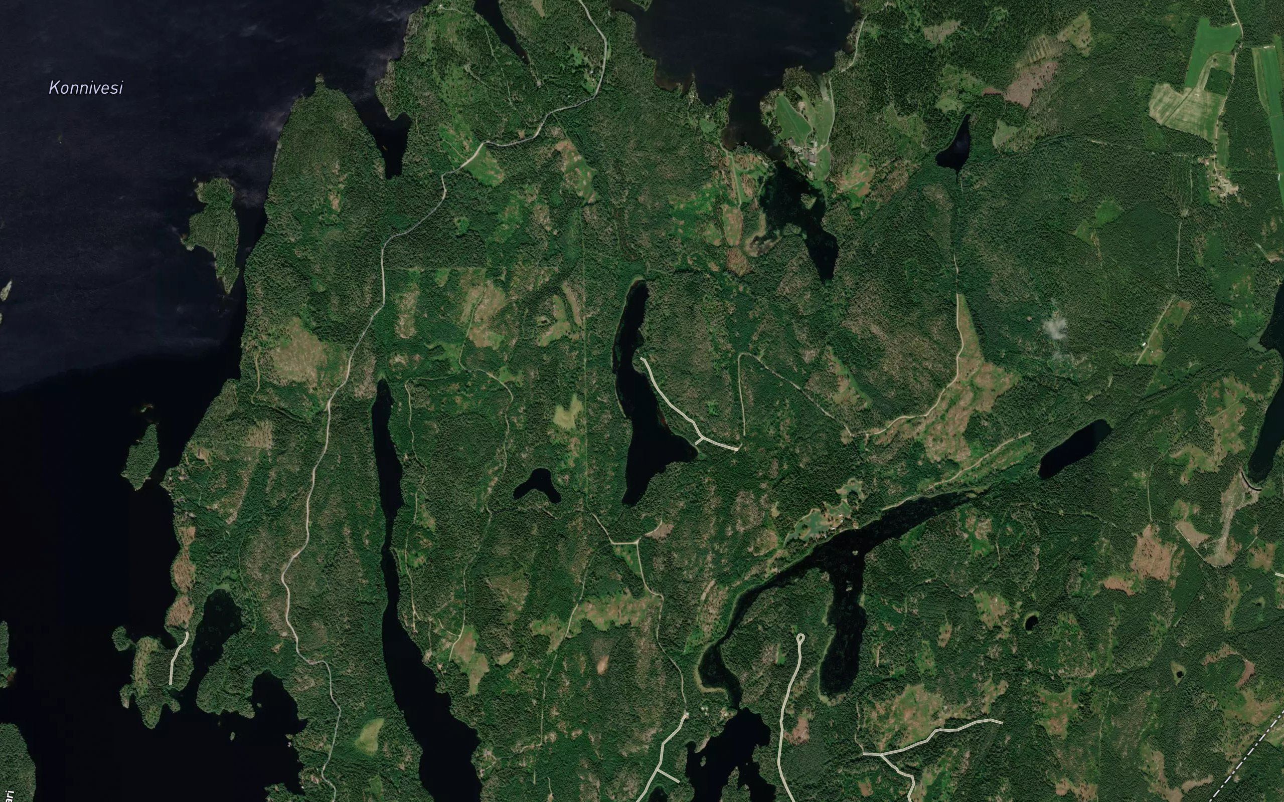 Iso Rautjalka