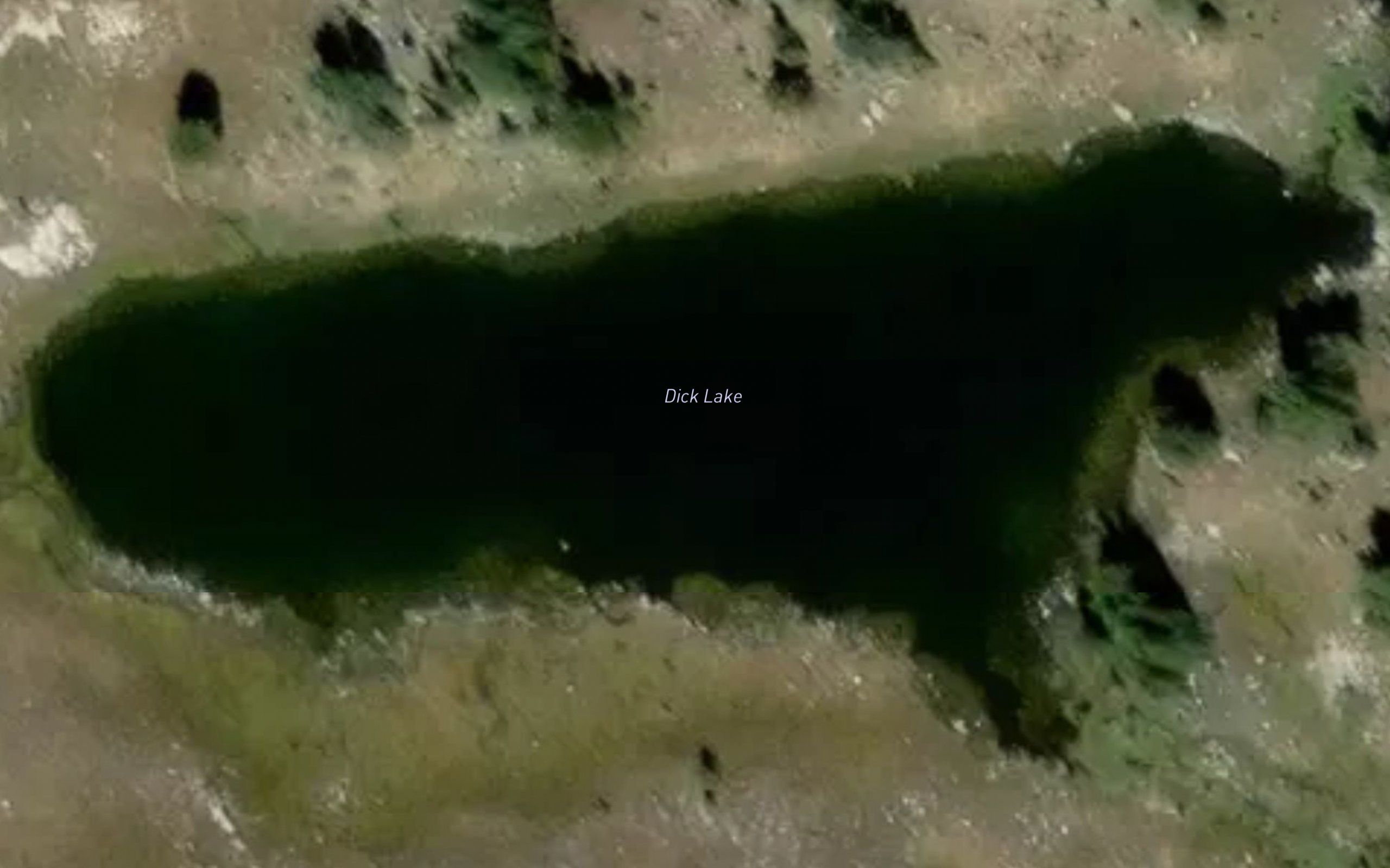 Dick Lake