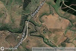 Boggy Creek