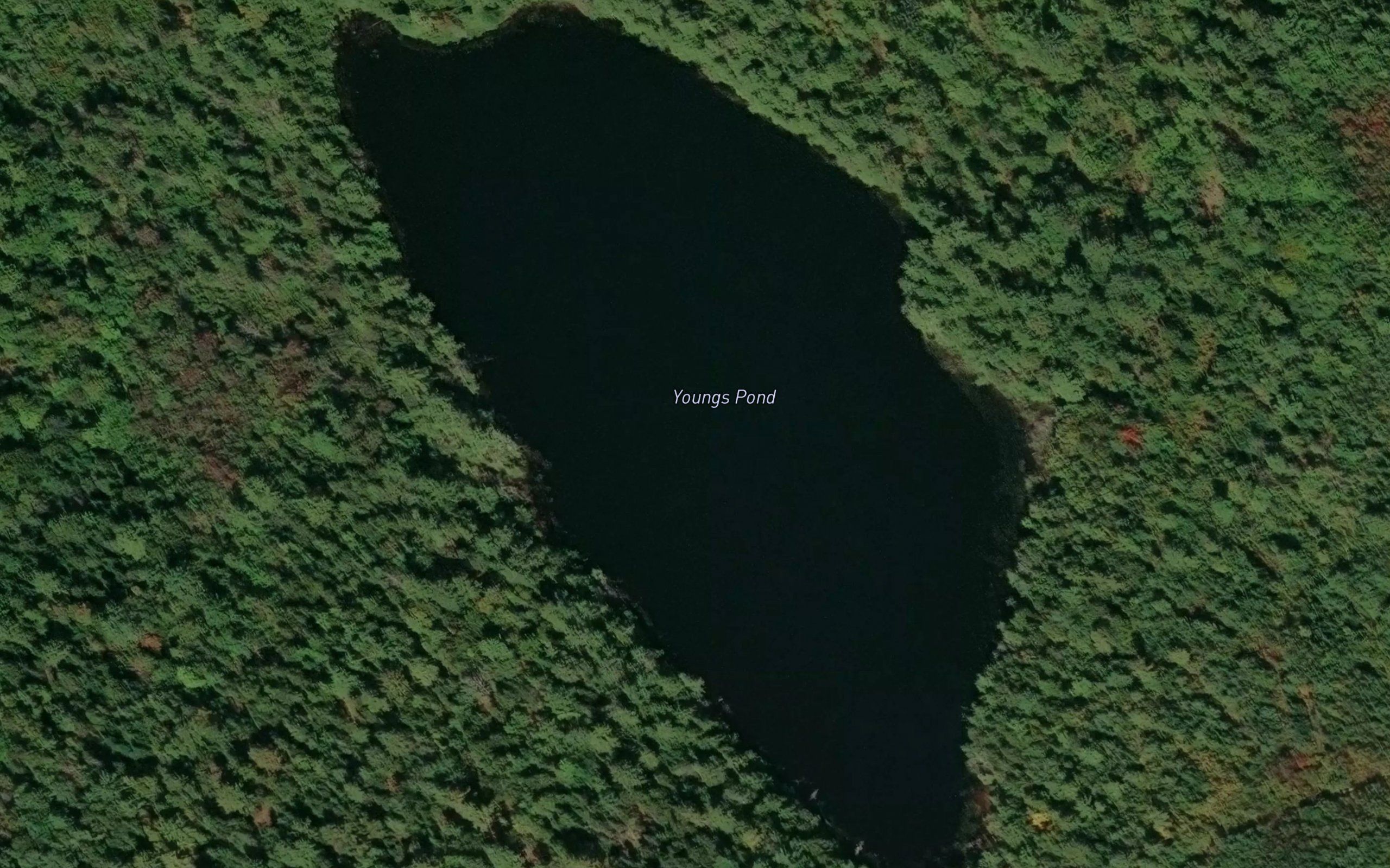 Youngs Pond