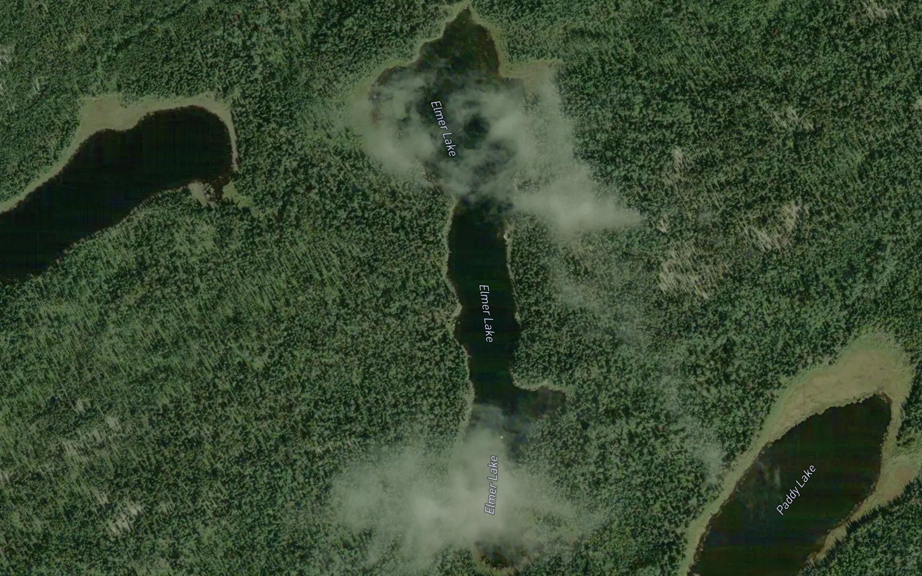 Satellite map of the Elmer Lake