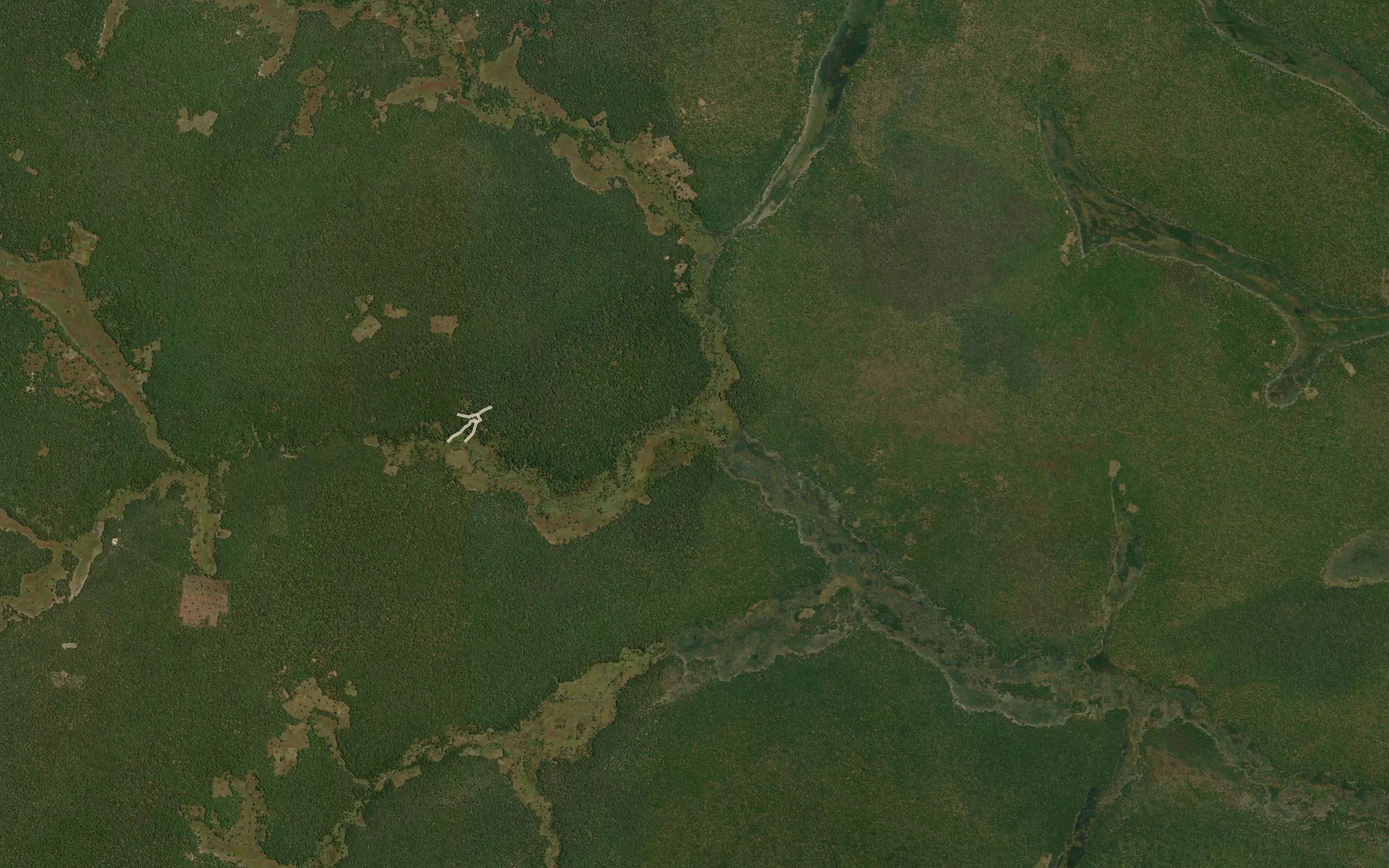 Nyavilambi