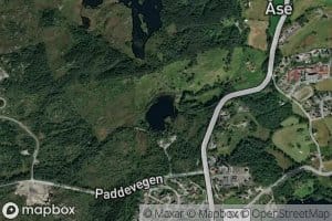 Steinarstjorna