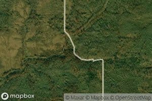 Horse and Poplar Branch