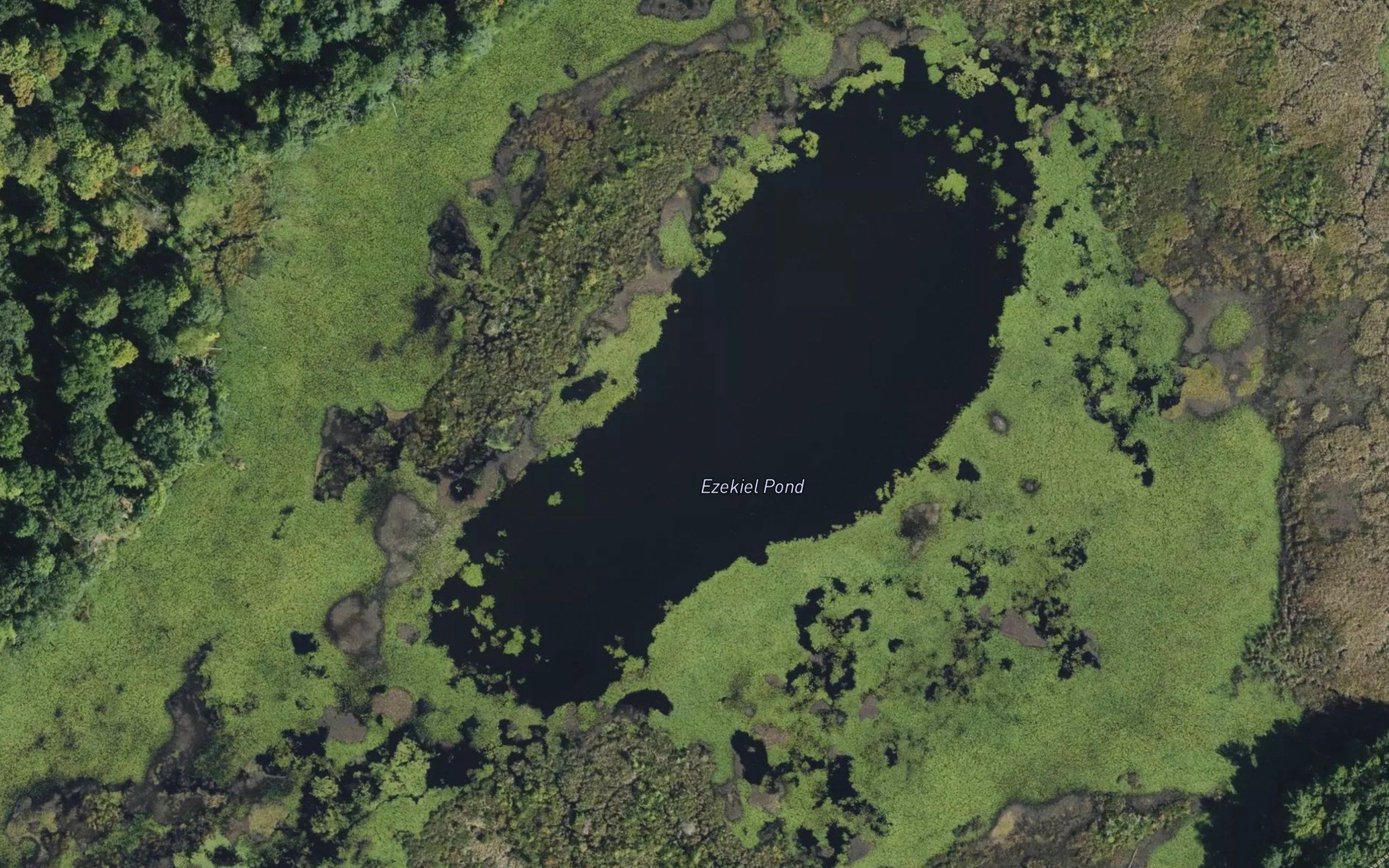 Ezekiel Pond