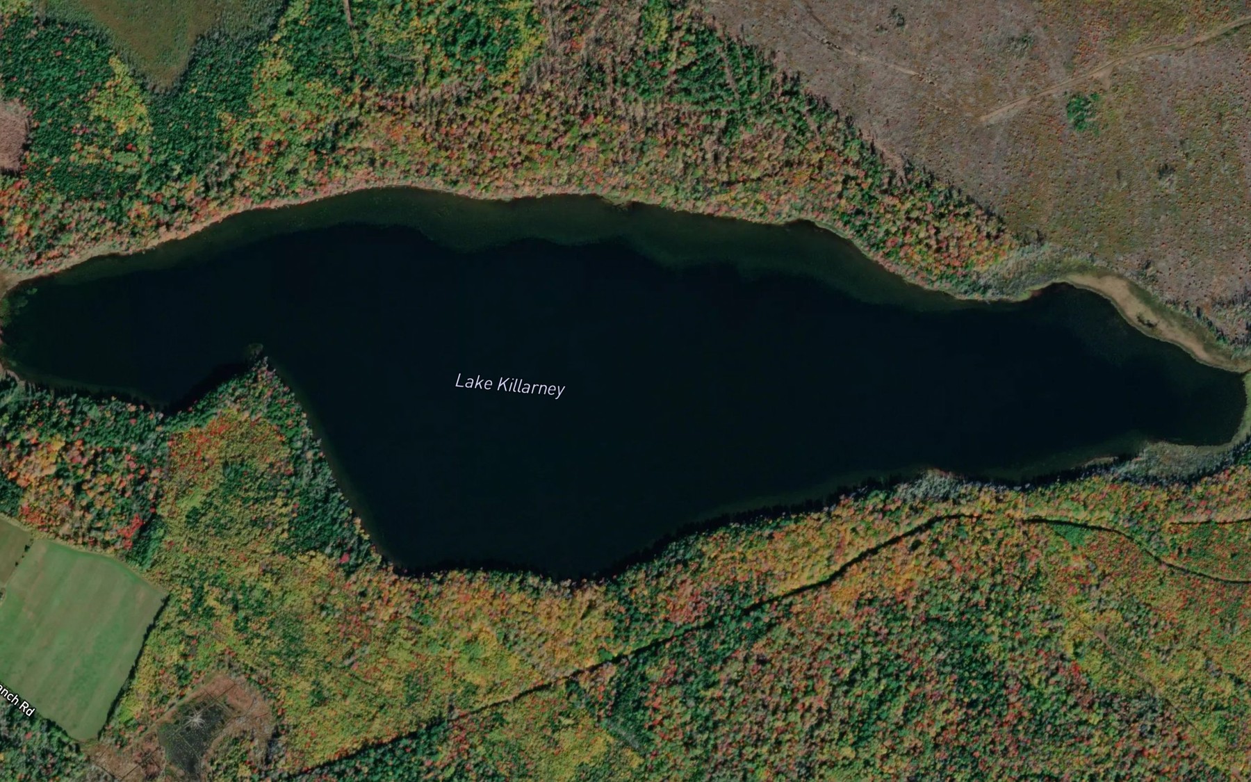 Satellite map of the Lake Killarney