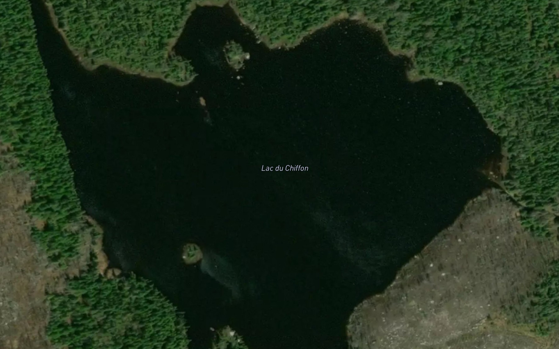 Satellite map of the Lac du Chiffon