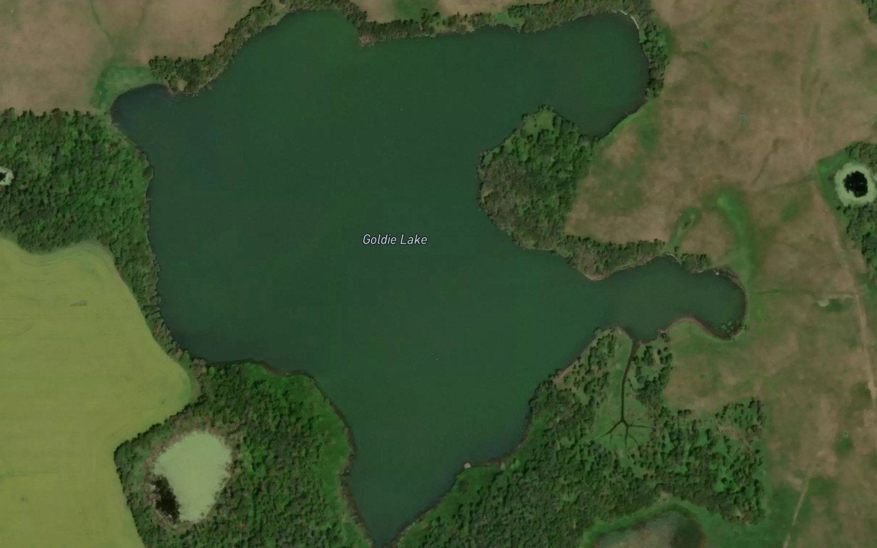 Satellite map of the Goldie Lake