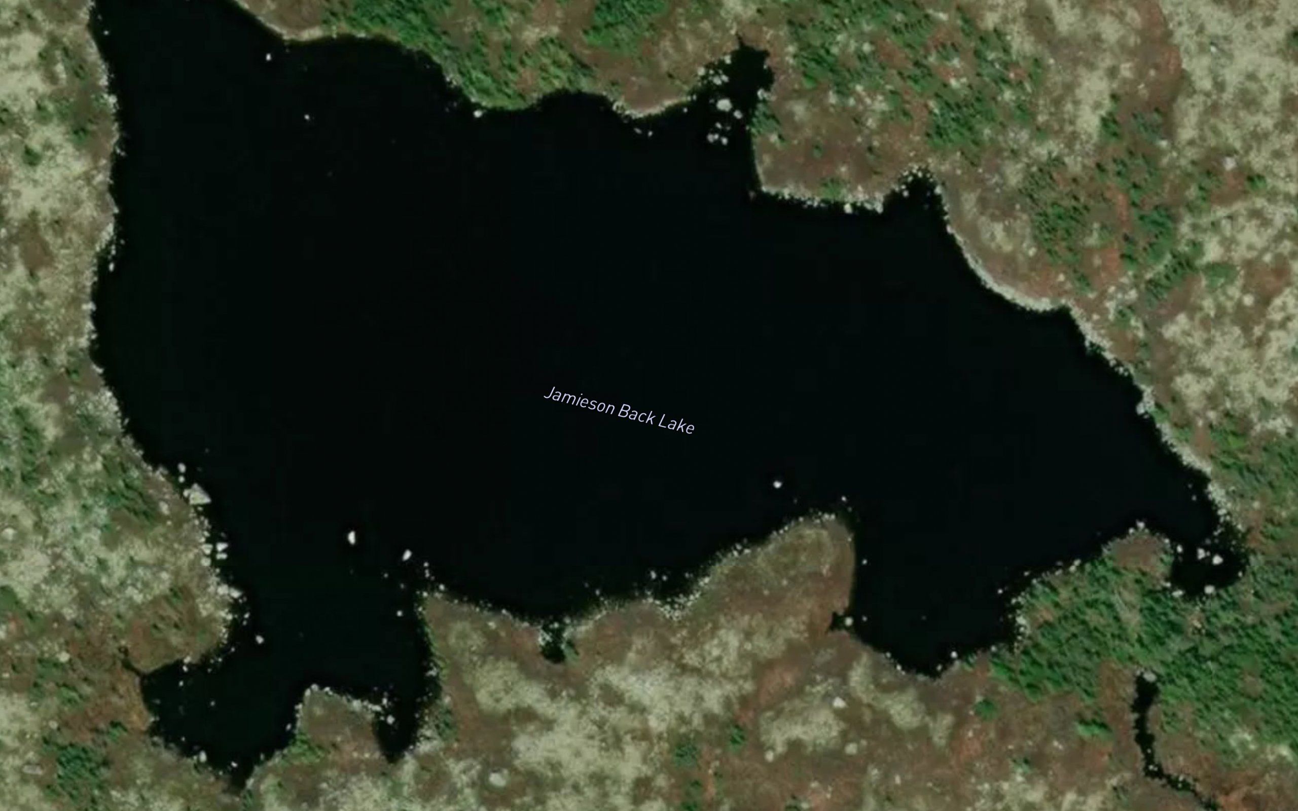 Jamieson Back Lake