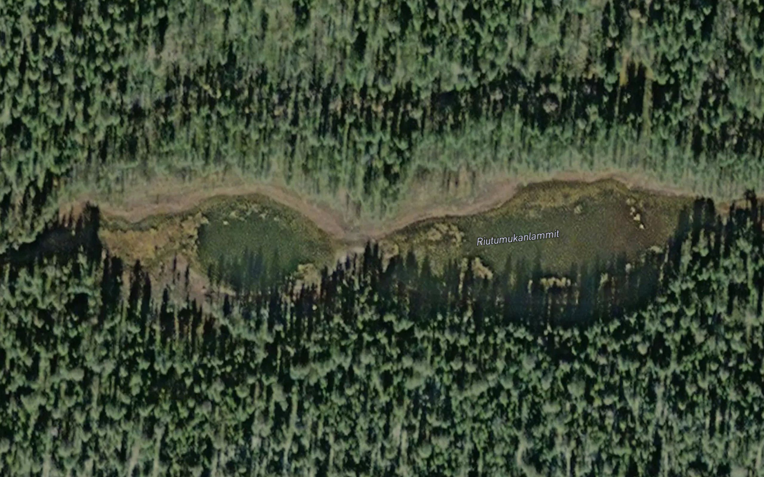 Riutumukanlammit