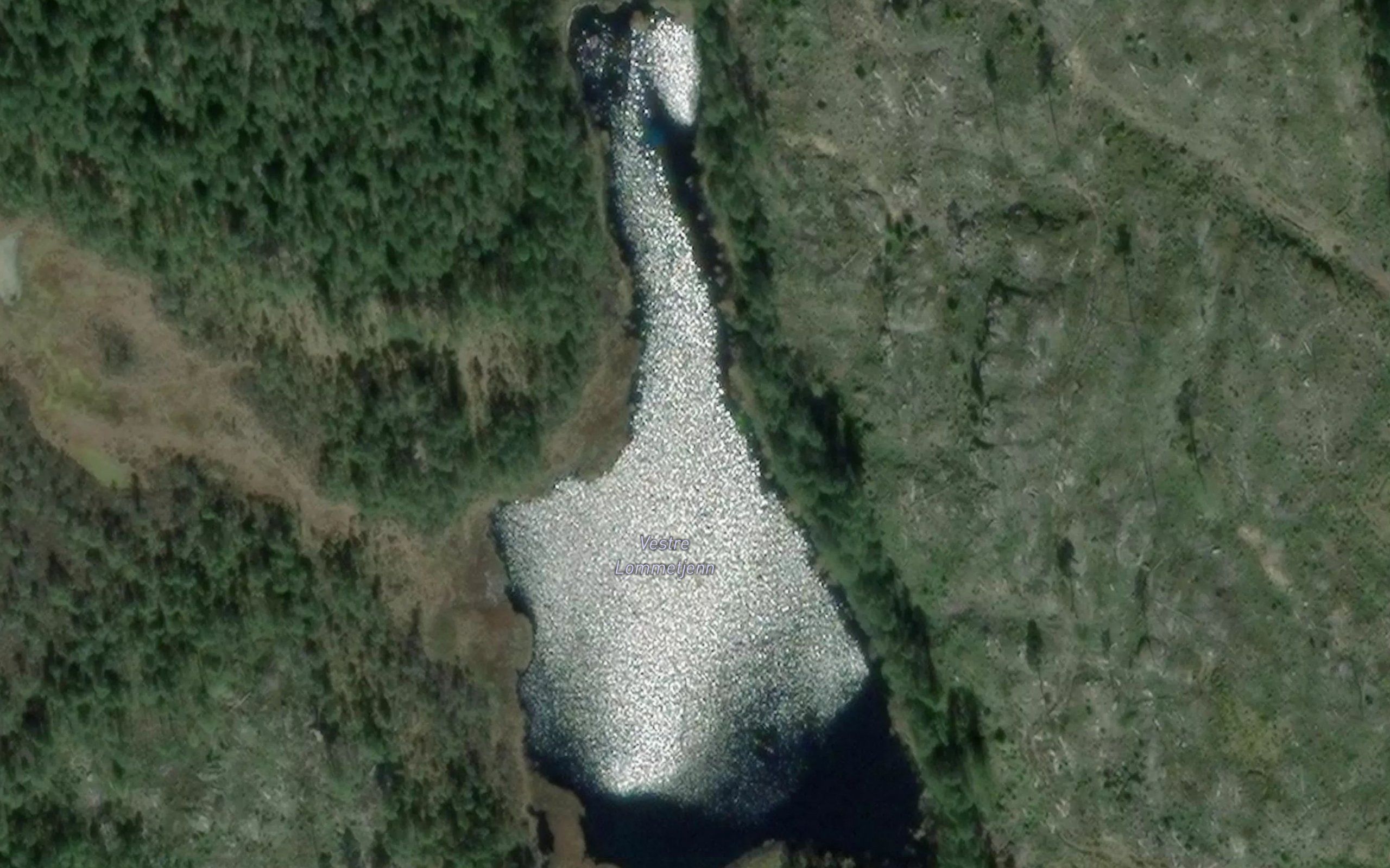 Lometjerna