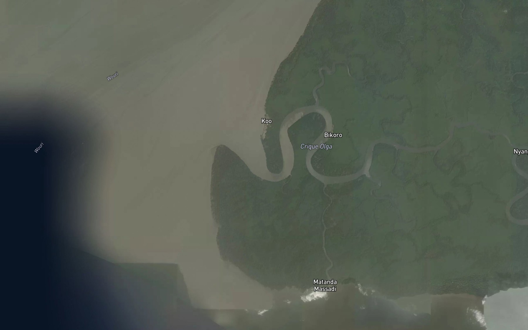 Satellite map of the Crique Olga