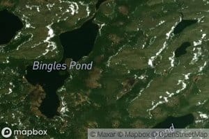 Bingles Pond