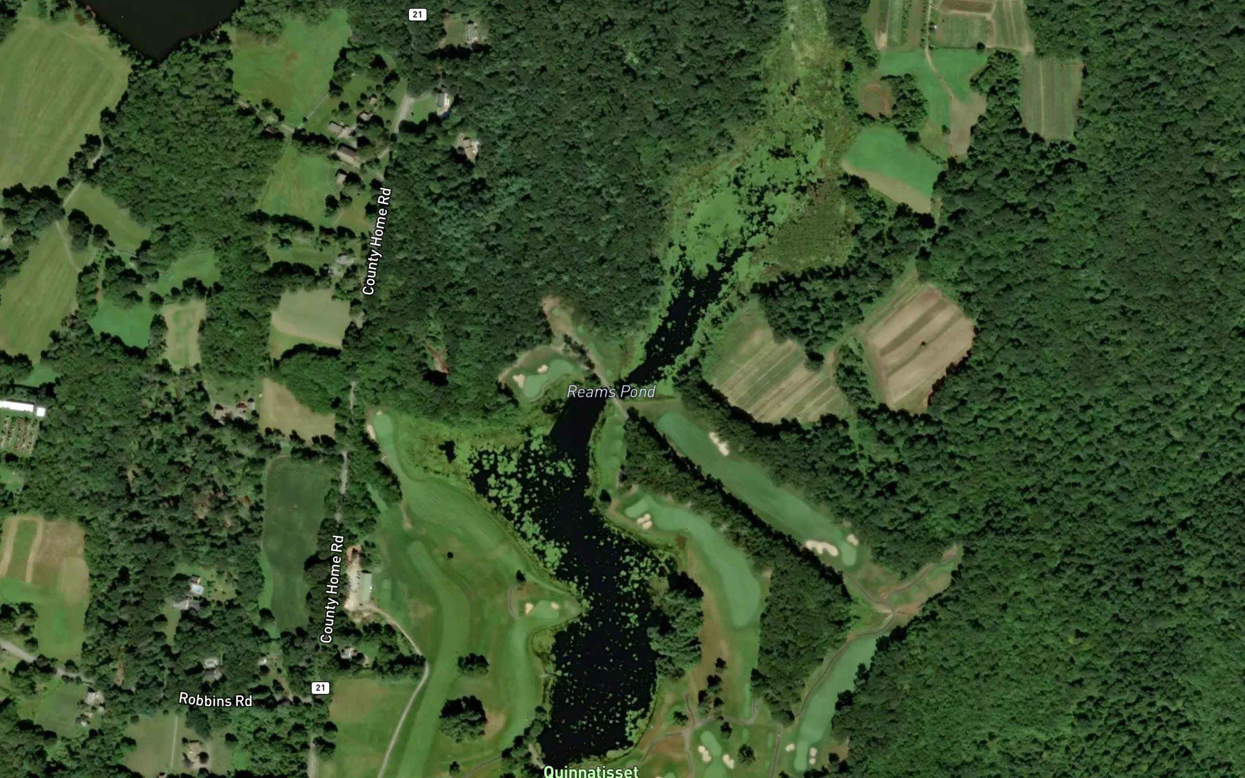 Reams Pond