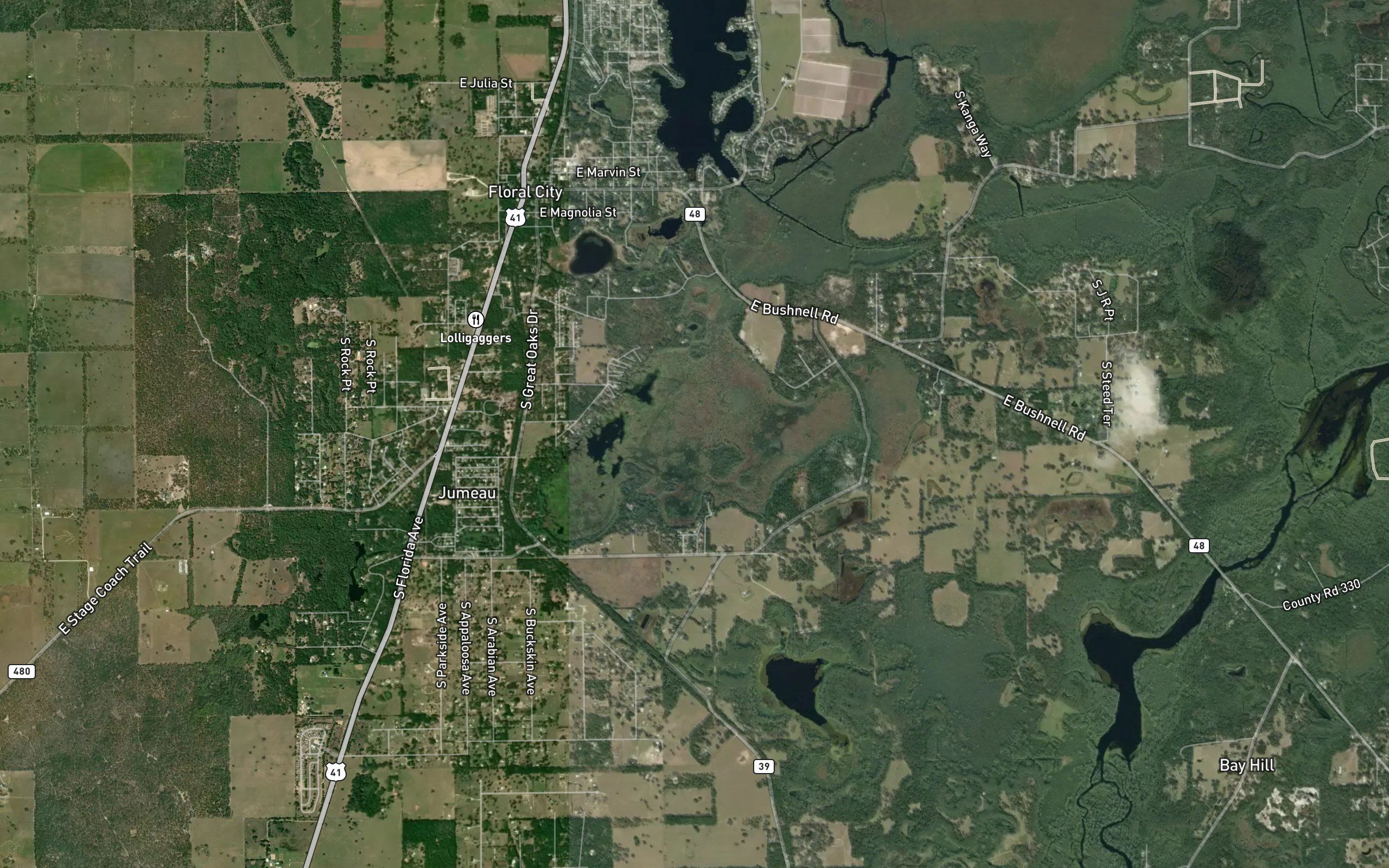 Bradley Lake