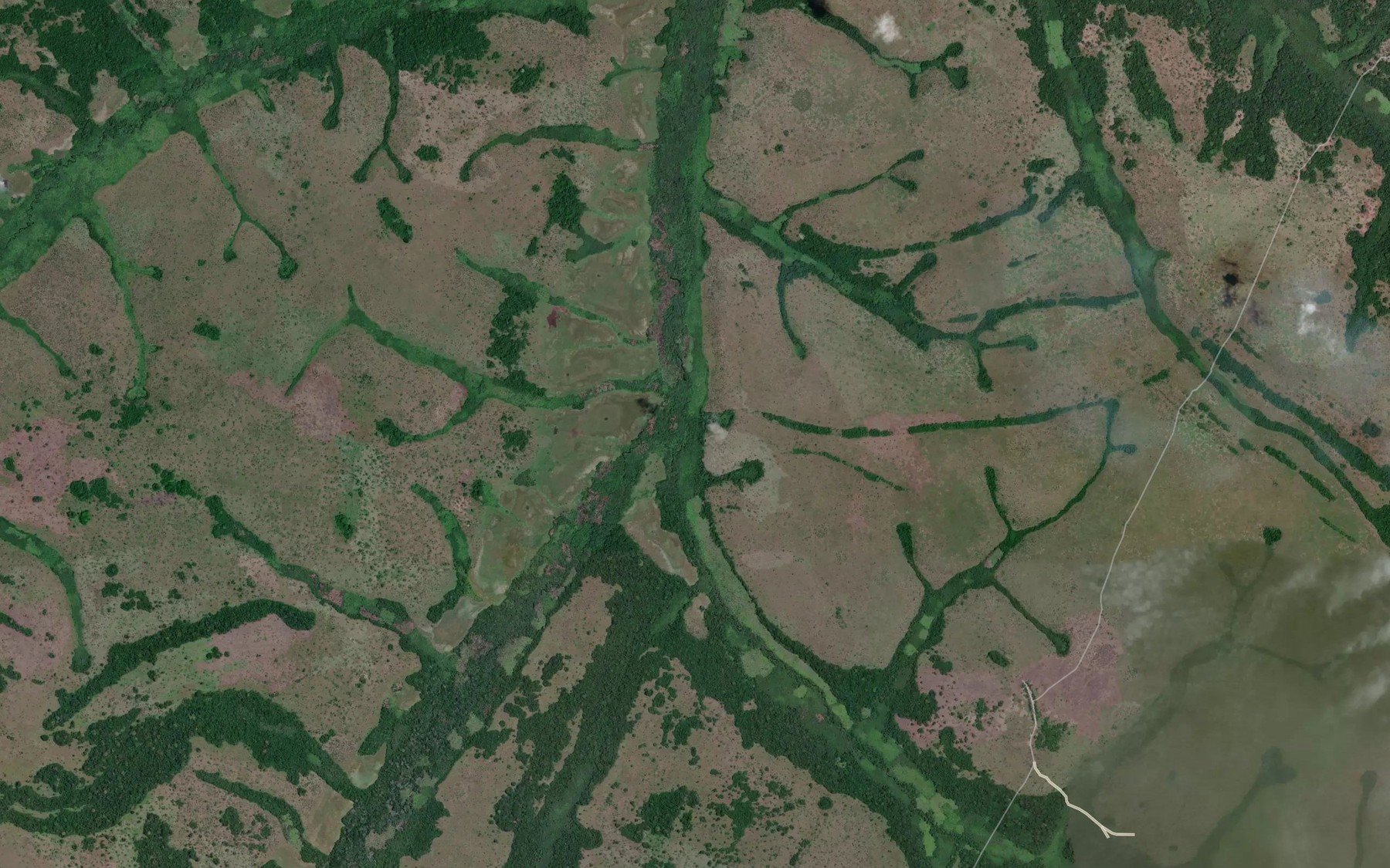 Satellite map of the Ongia