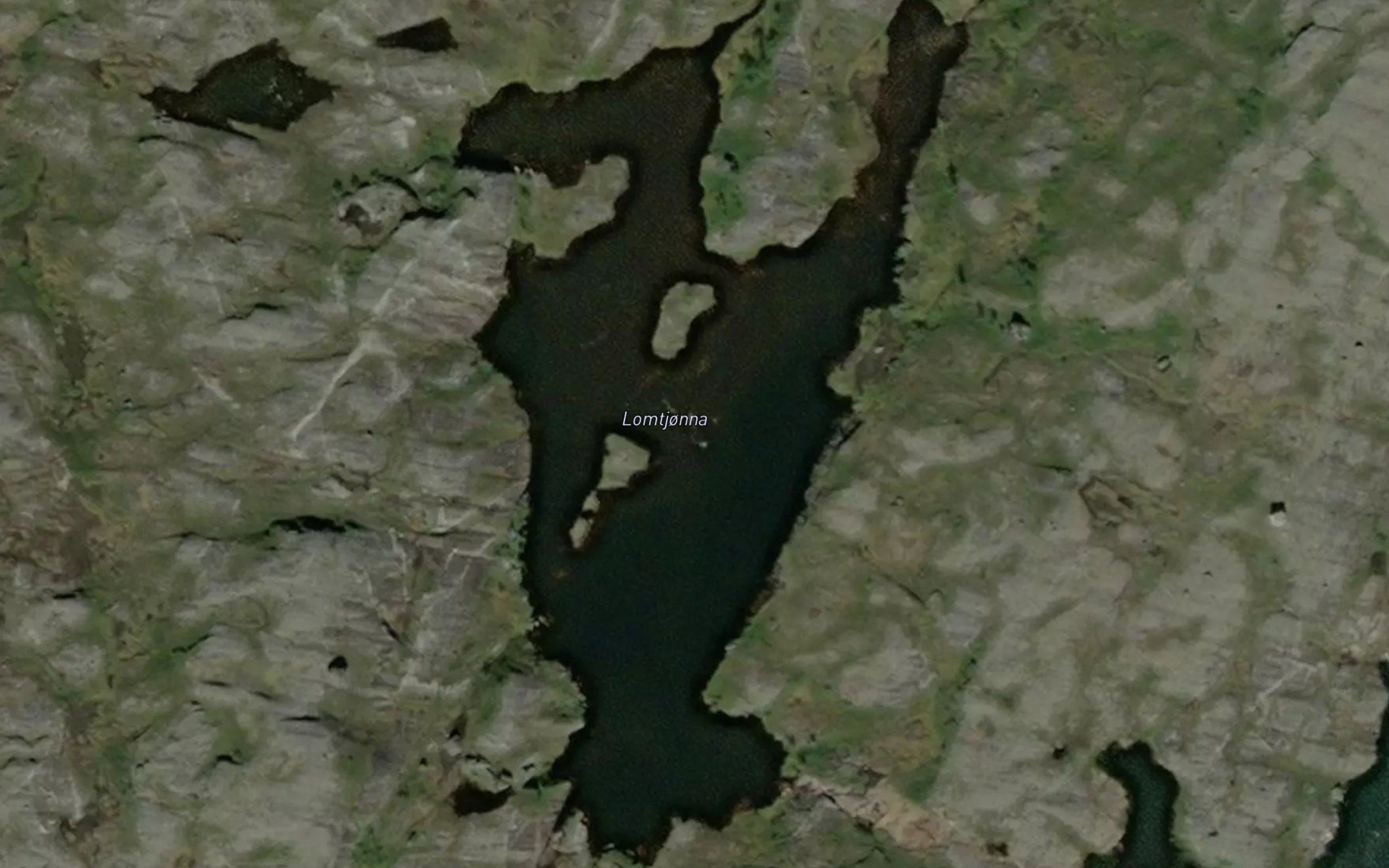 Lomtjorna
