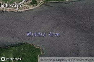 Middle Arm