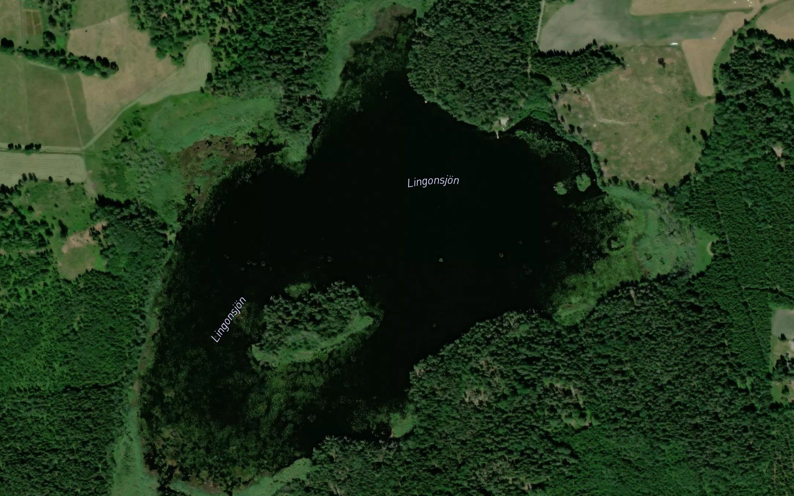Lingonsjoen
