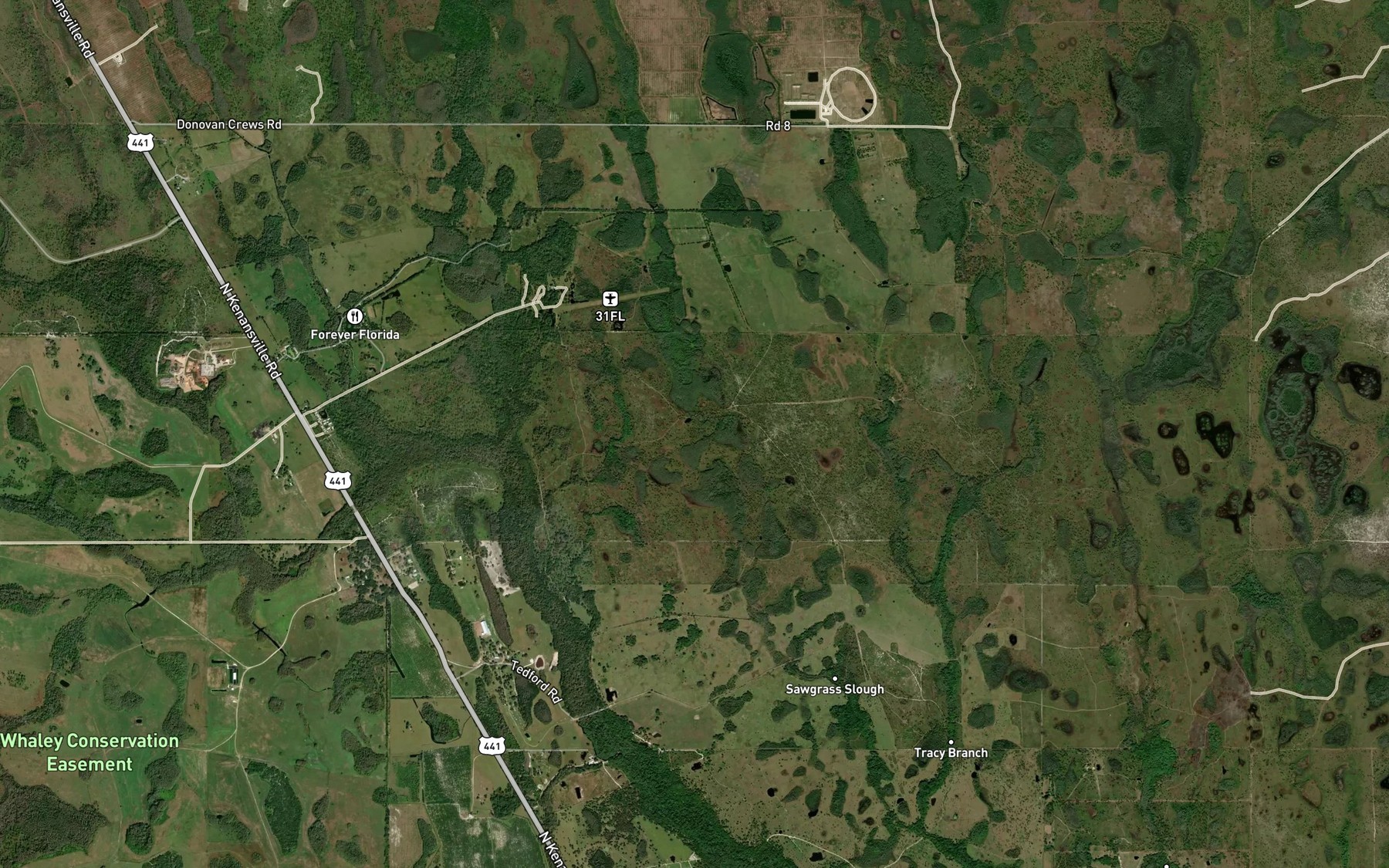 Satellite map of the Sawgrass Slough
