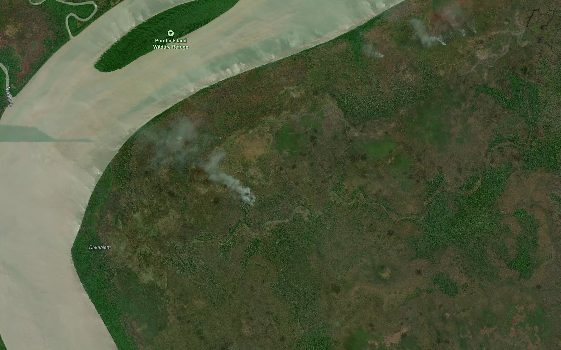 Satellite map of the Dokaniem