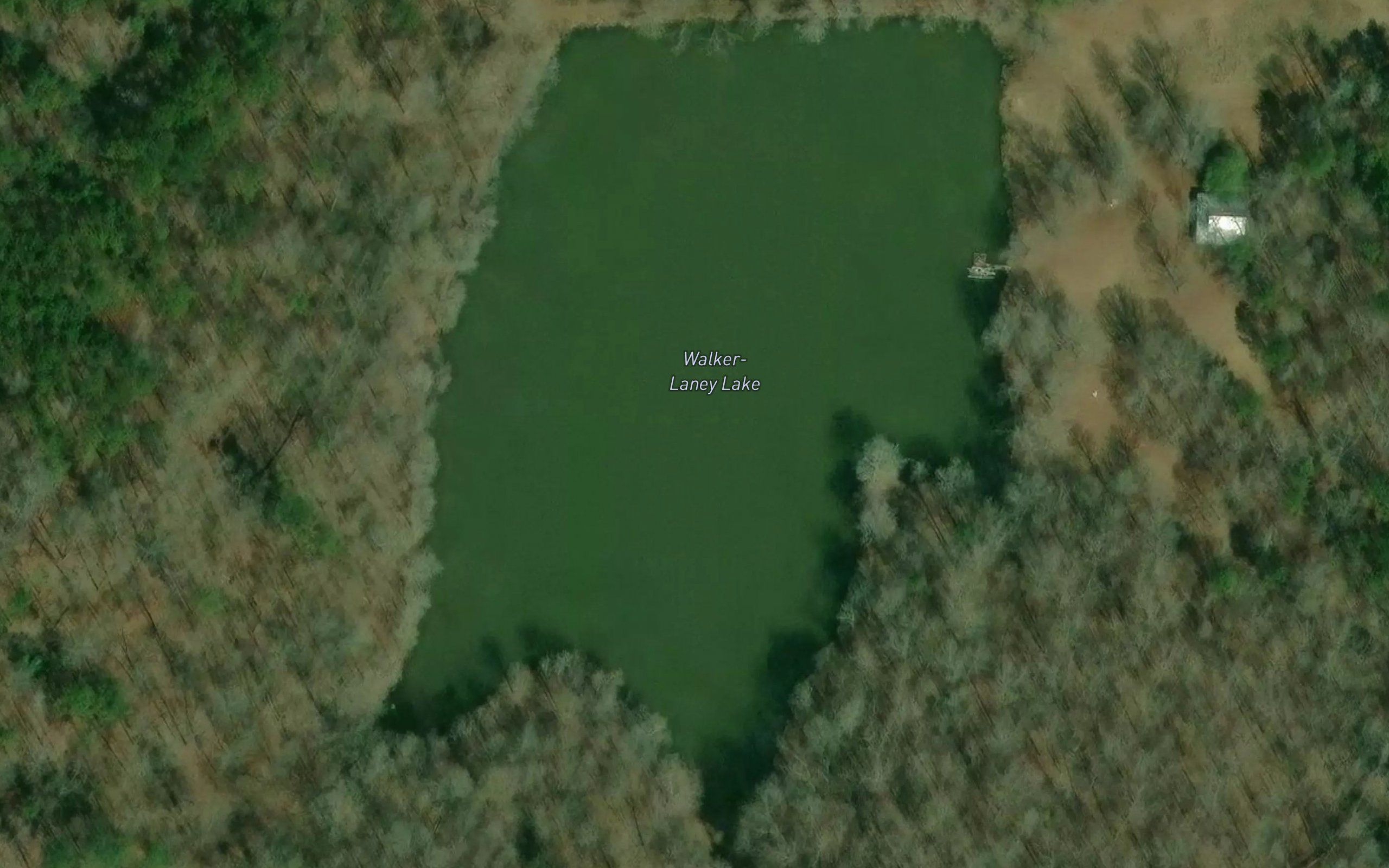 Walker-Laney Lake
