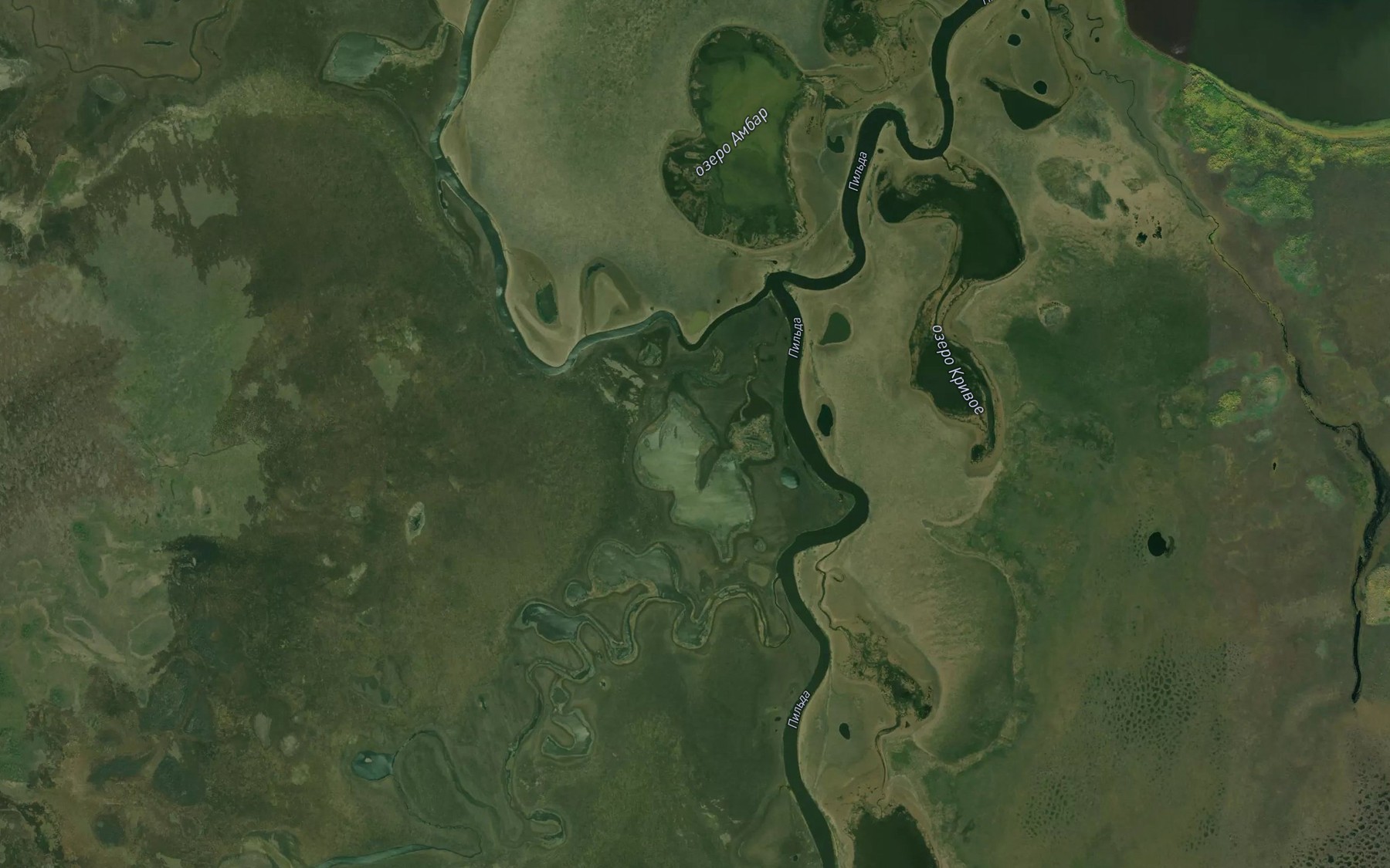 Satellite map of the Ozero Lebedinoye