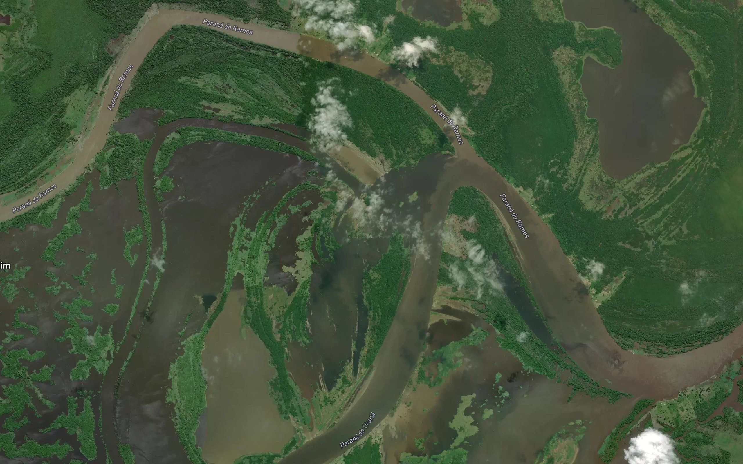 Parana Mucura